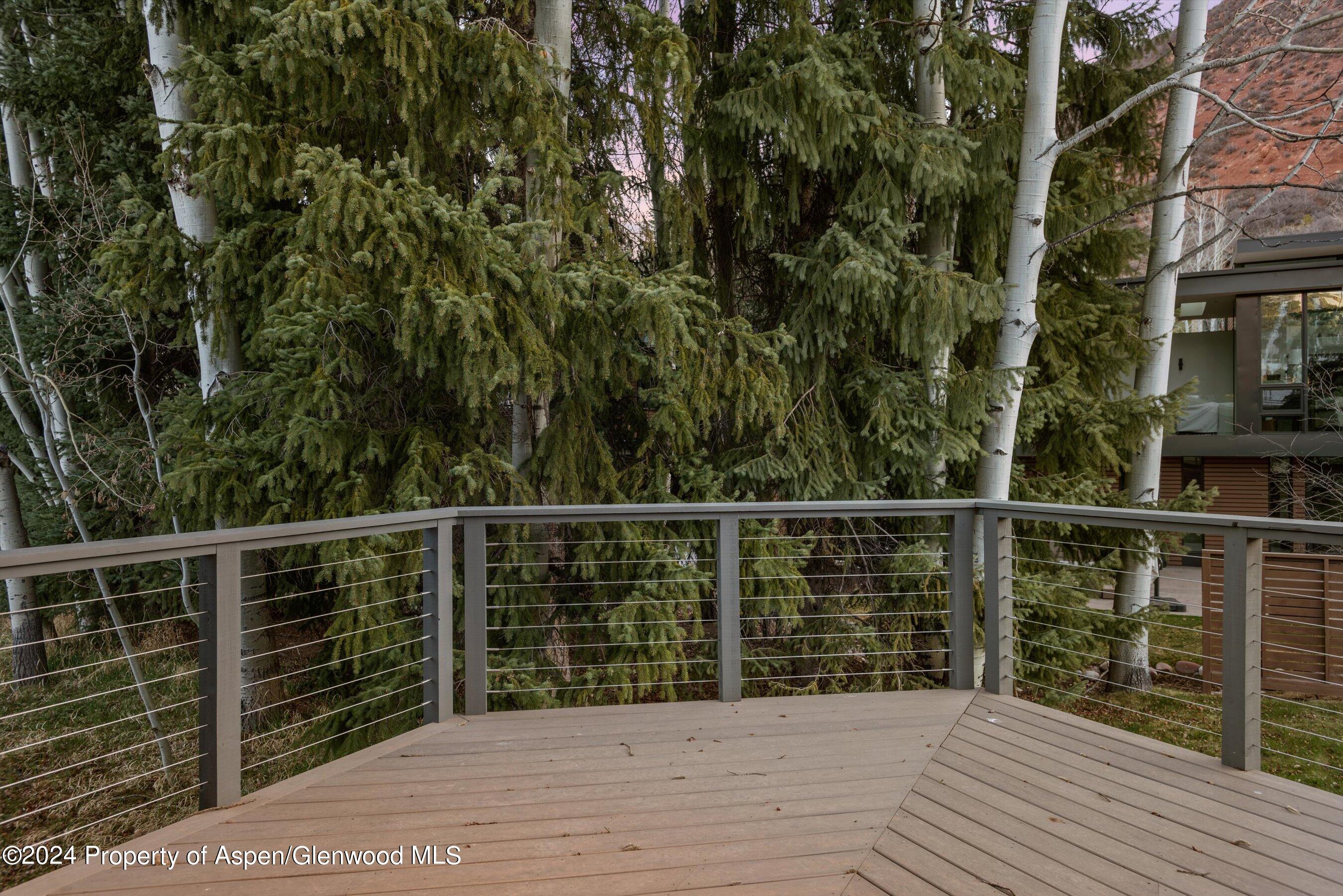 1650 Homestake Drive Aspen CO 81611