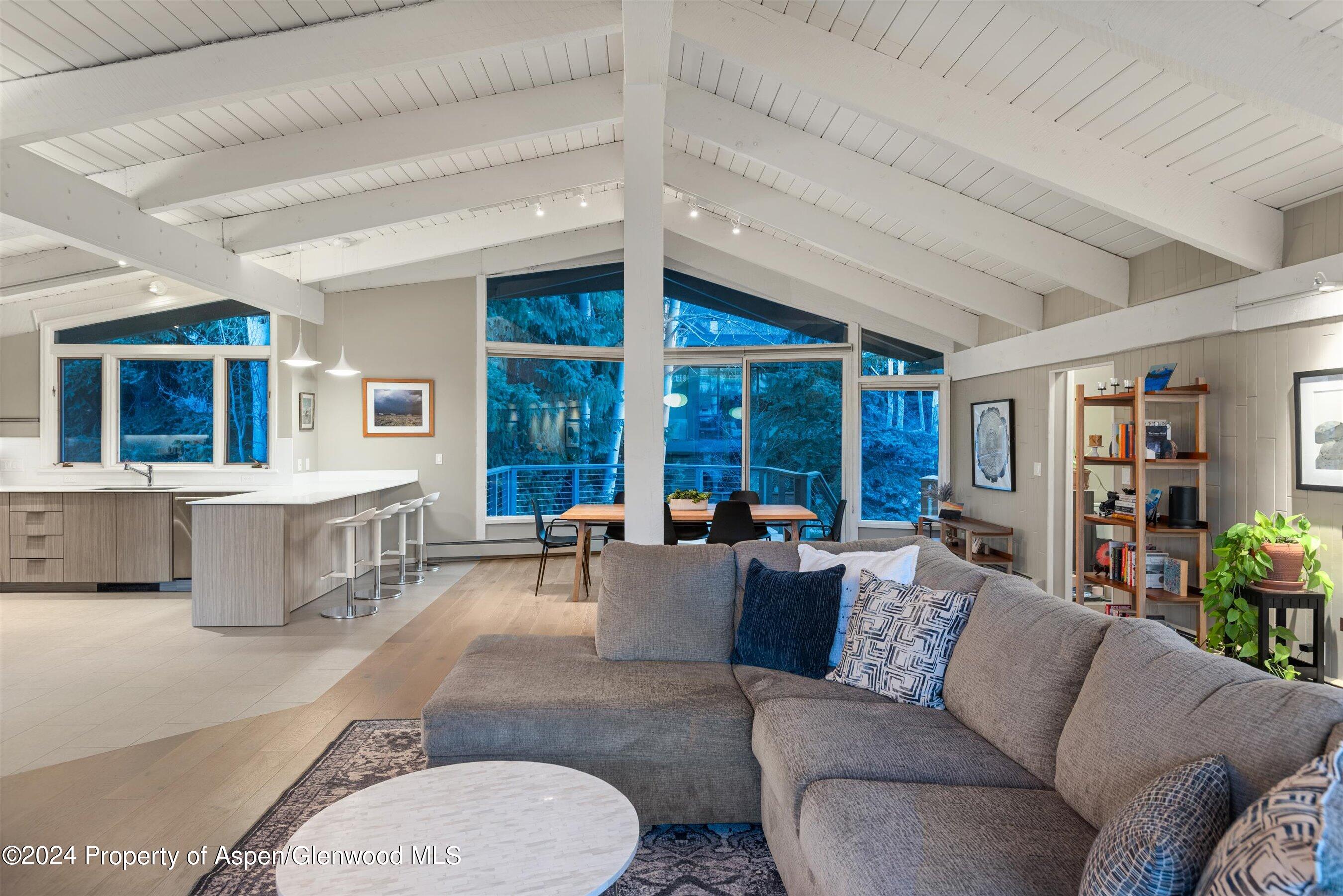 1650 Homestake Drive Aspen CO 81611