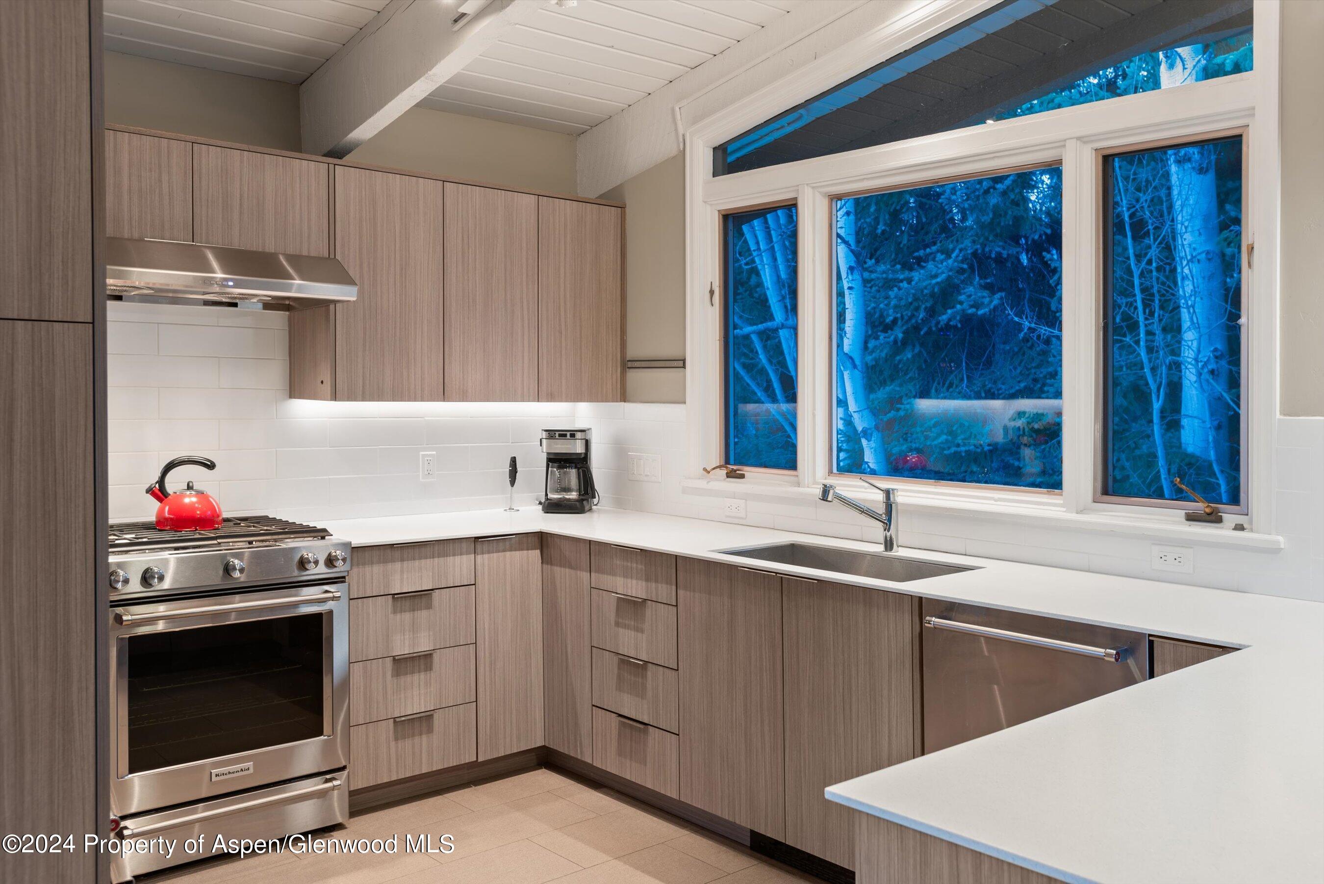 1650 Homestake Drive Aspen CO 81611