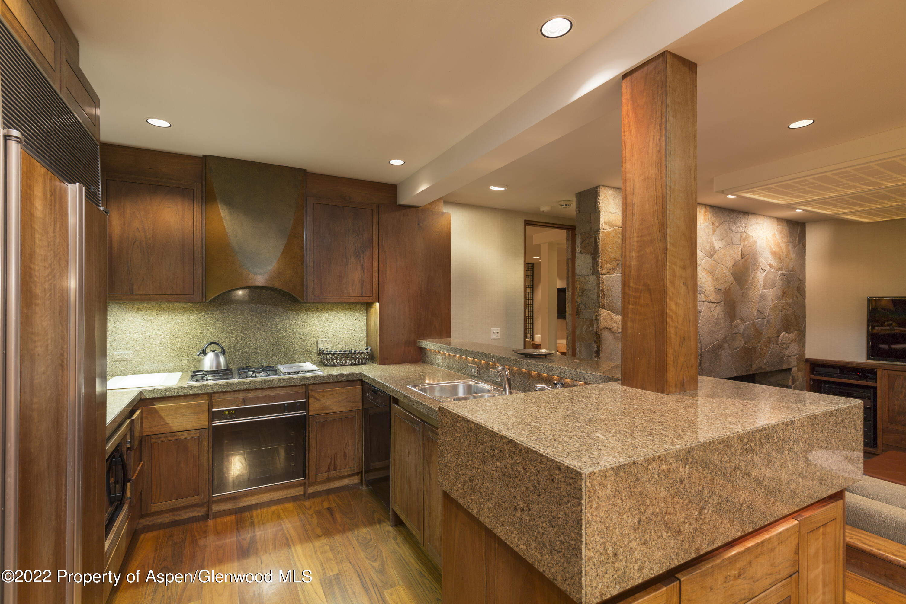 700 S Ute Avenue Aspen CO 81611