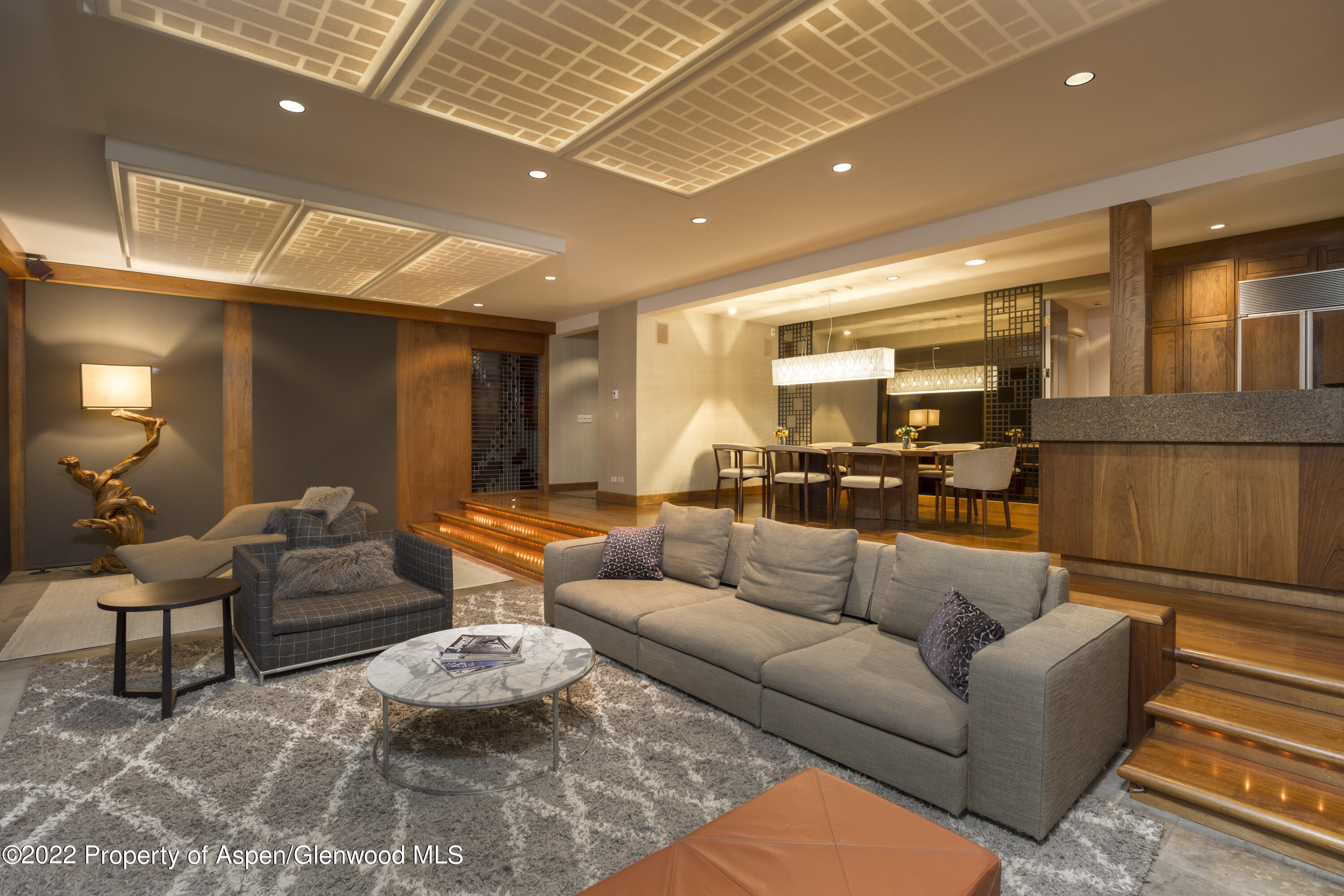 700 S Ute Avenue Aspen CO 81611