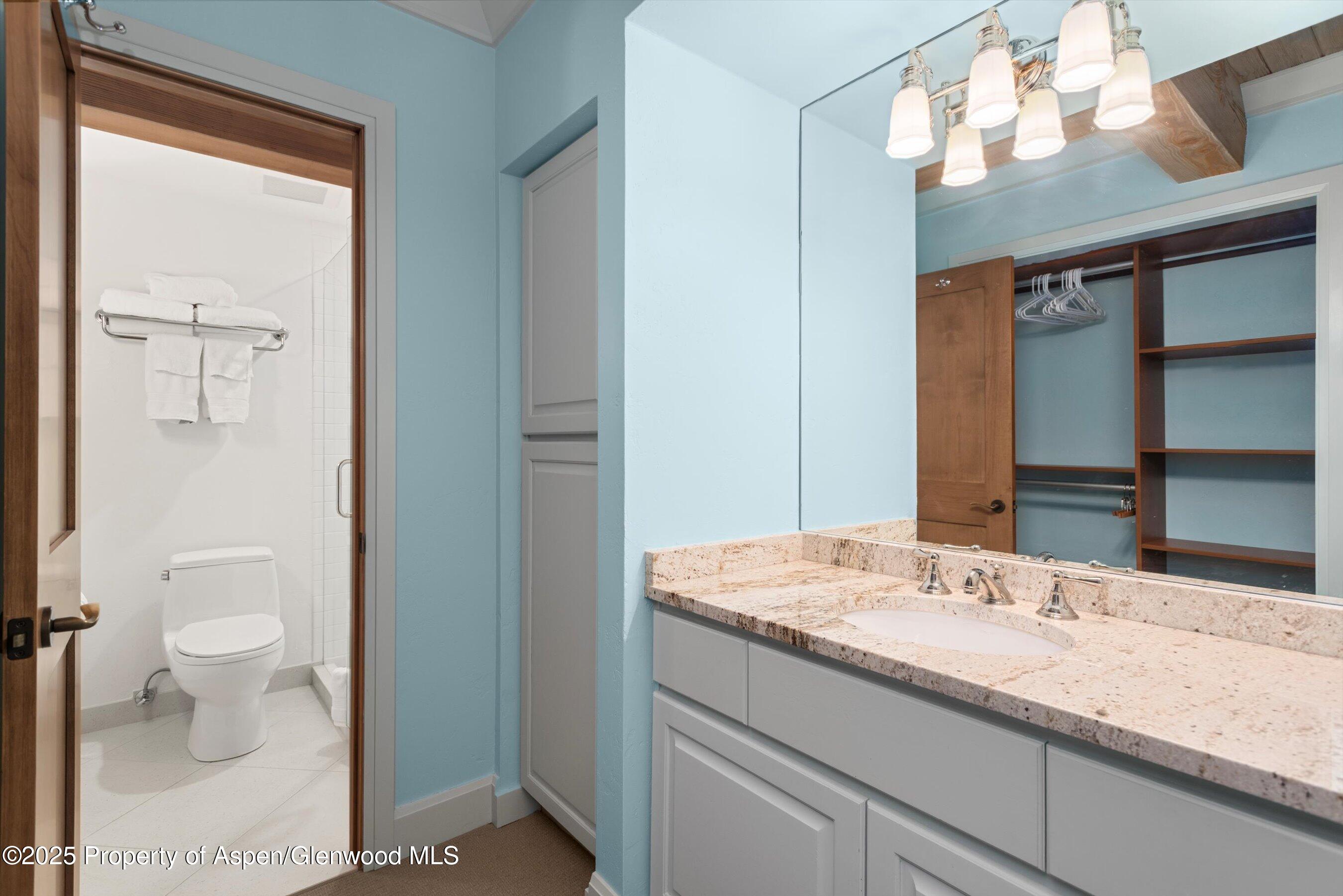 855 Carriage Way Snowmass Village CO 81615