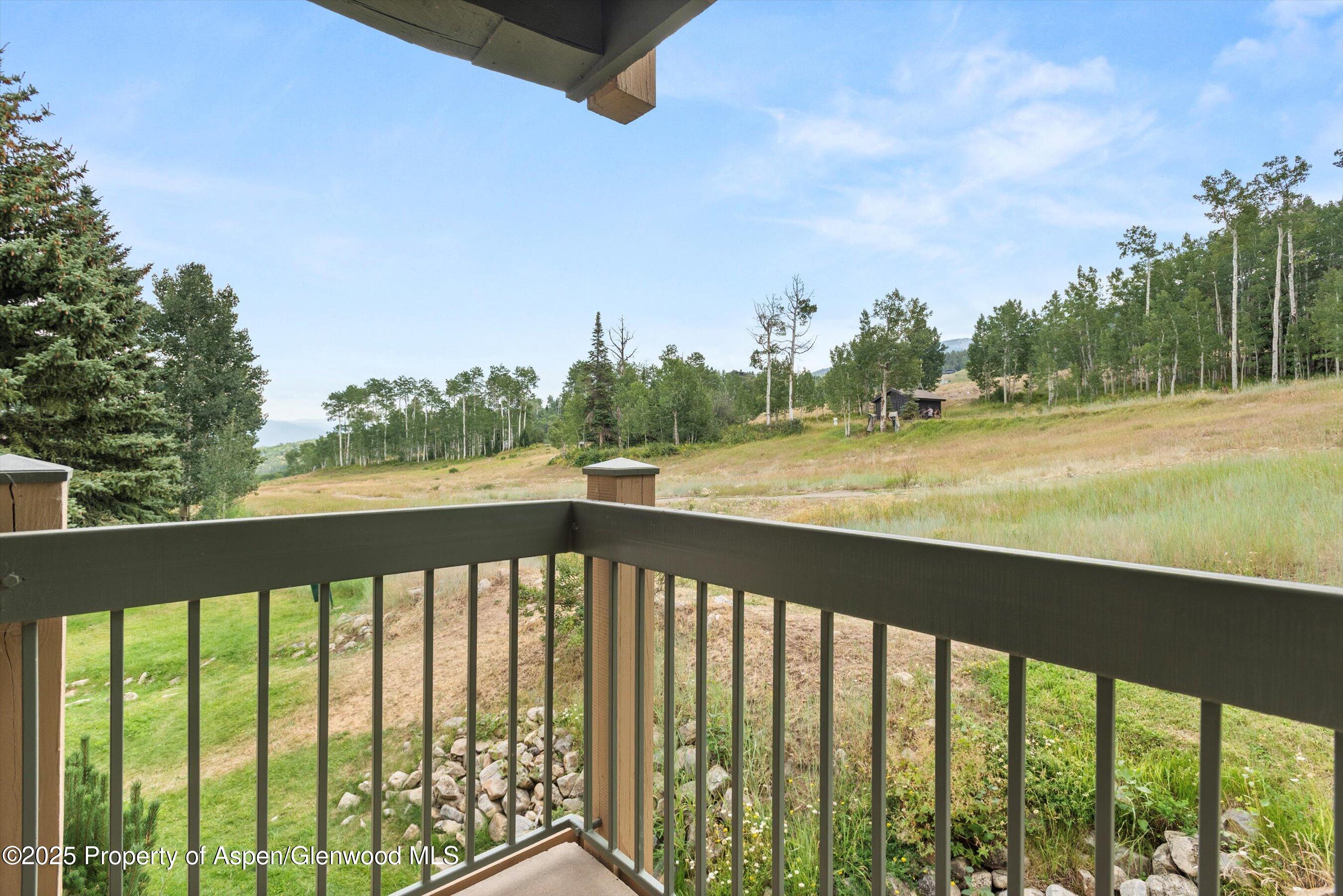 855 Carriage Way Snowmass Village CO 81615