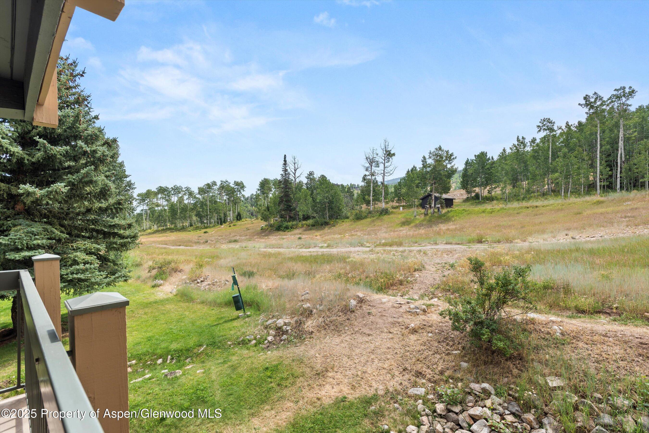 855 Carriage Way Snowmass Village CO 81615