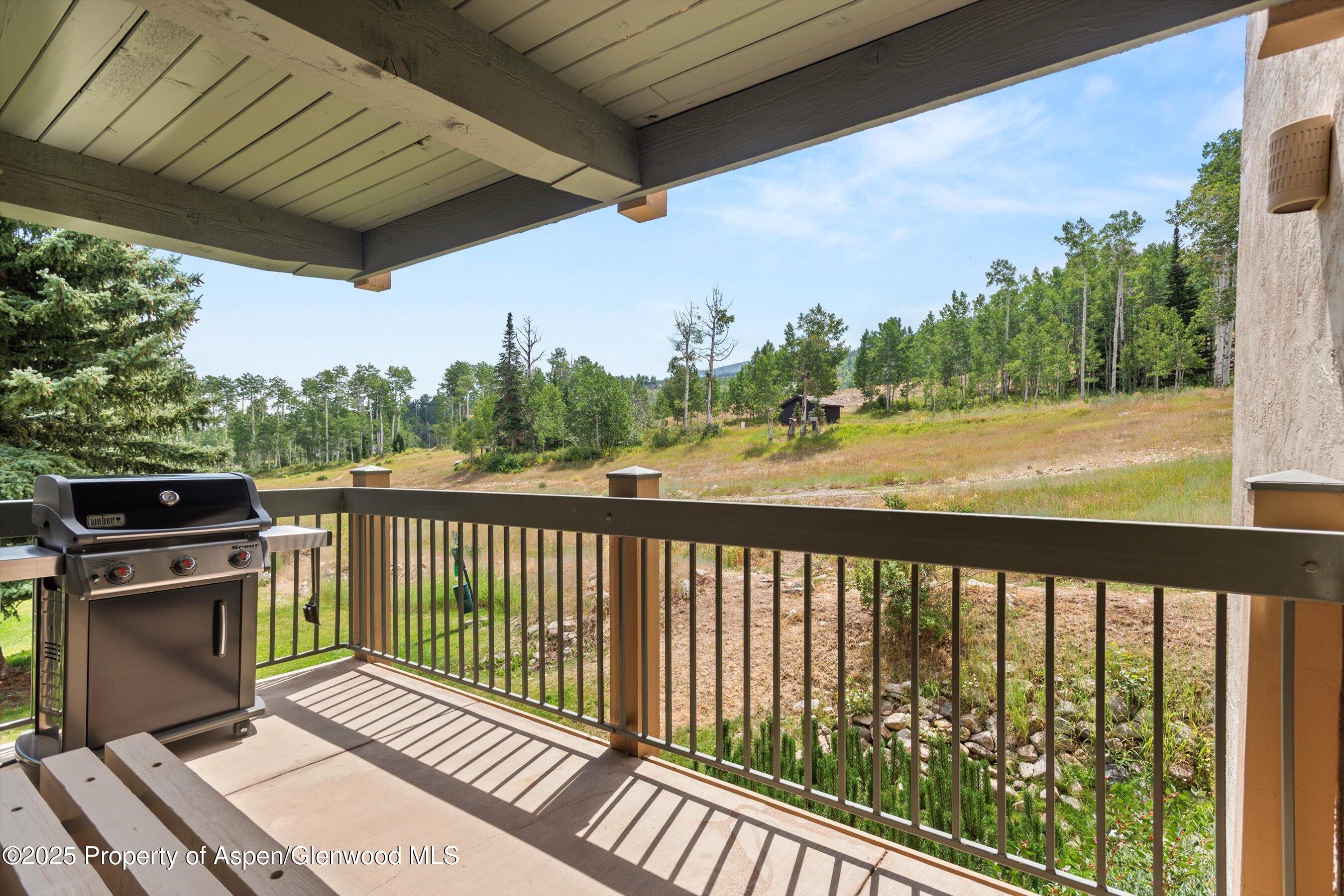 855 Carriage Way Snowmass Village CO 81615