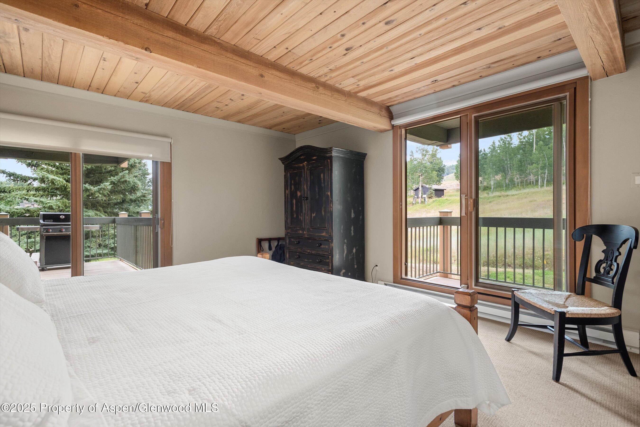 855 Carriage Way Snowmass Village CO 81615
