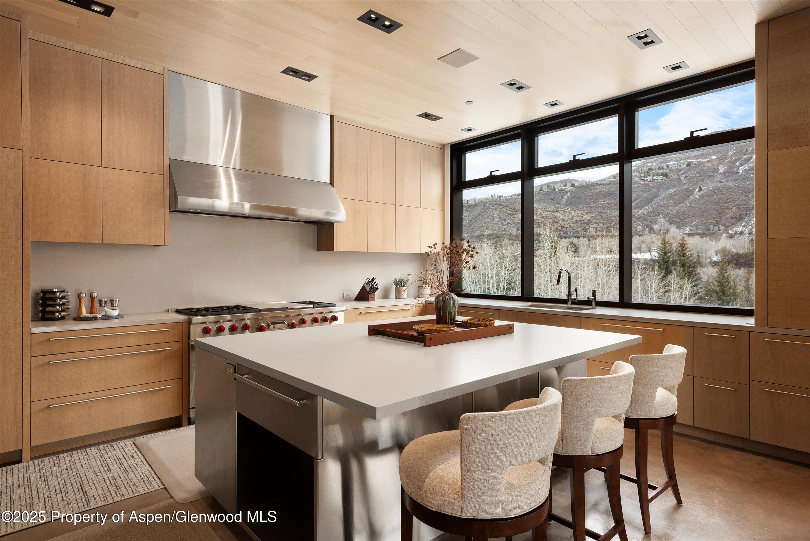 276 Coach Road Aspen CO 81611