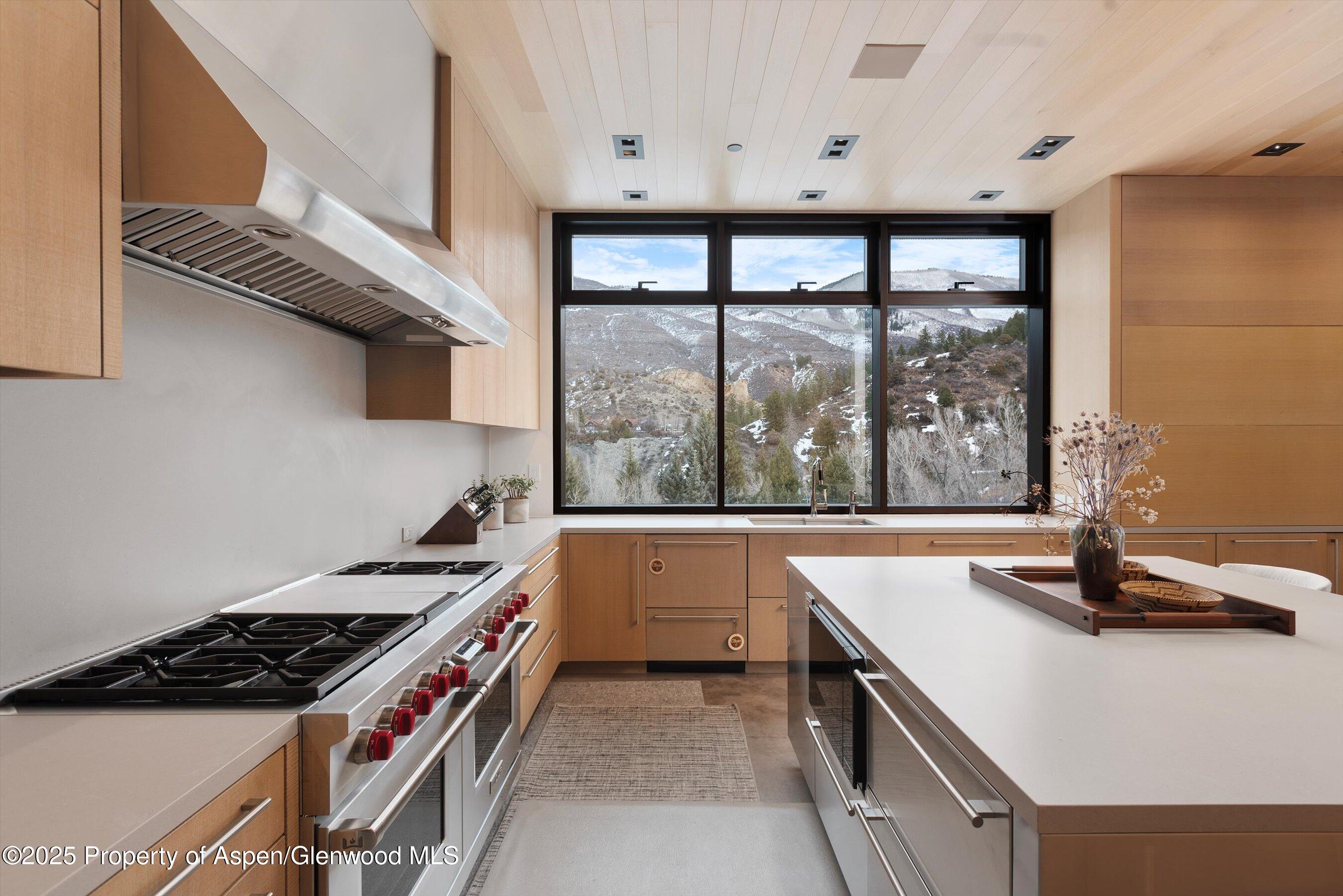 276 Coach Road Aspen CO 81611