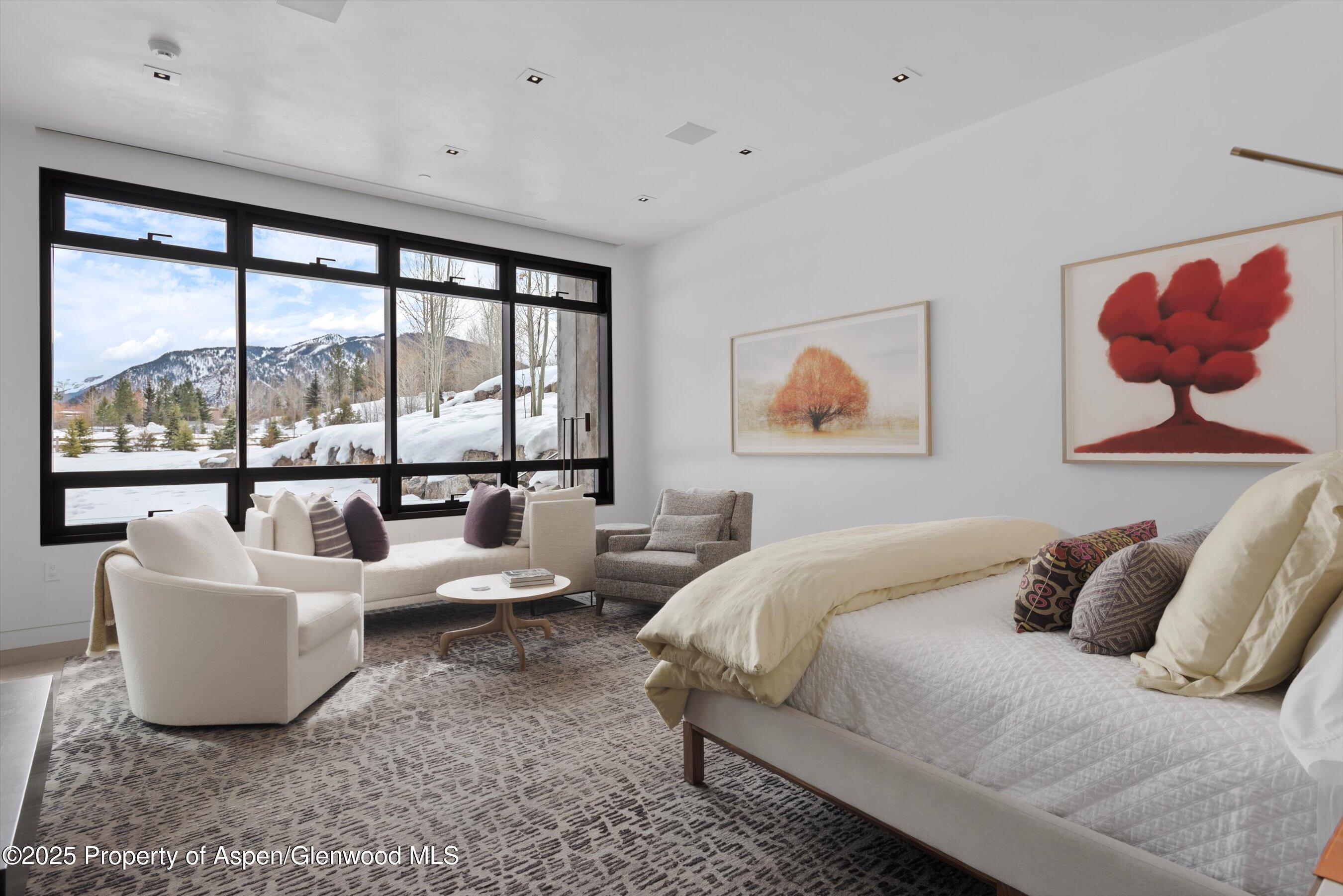 276 Coach Road Aspen CO 81611