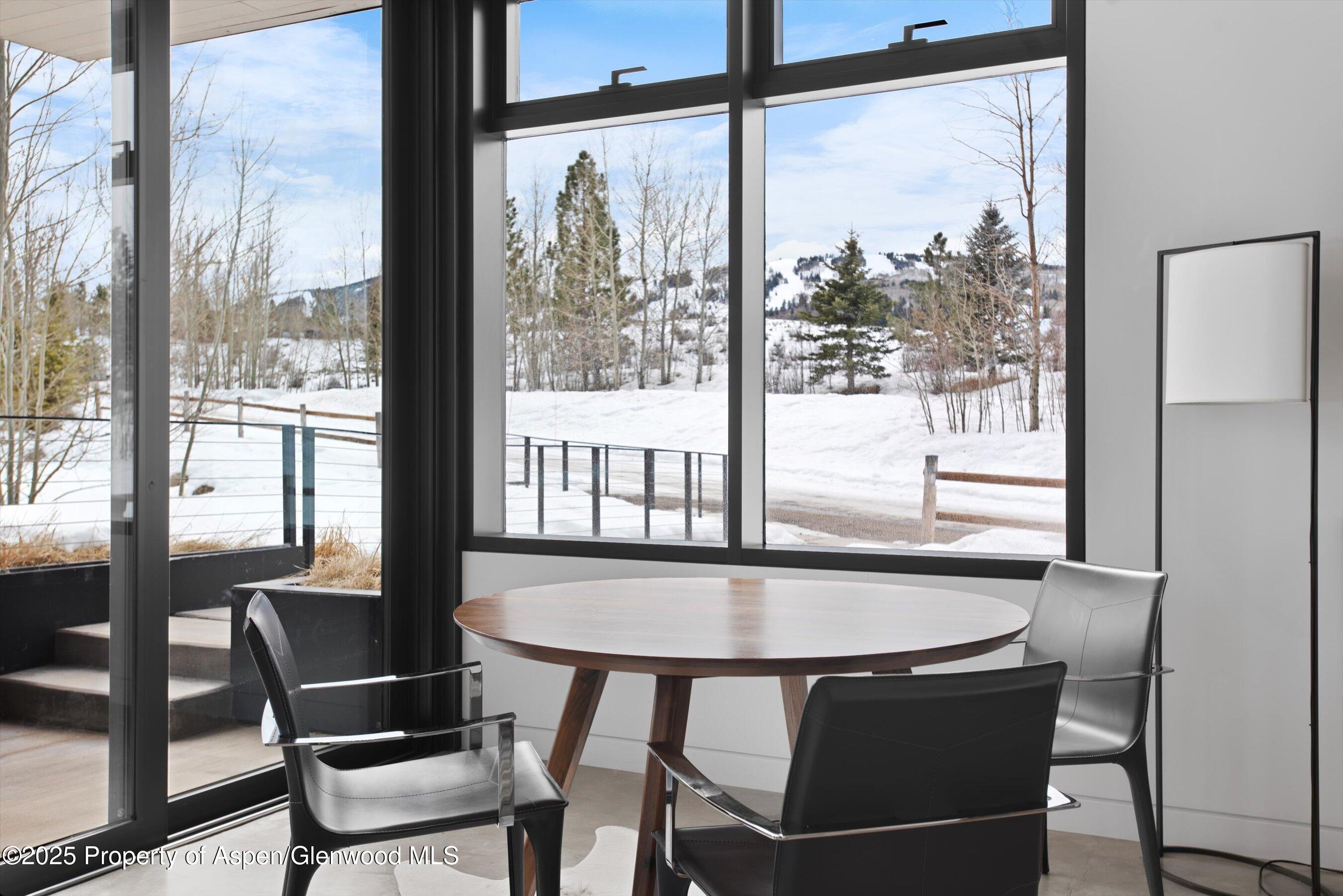 276 Coach Road Aspen CO 81611