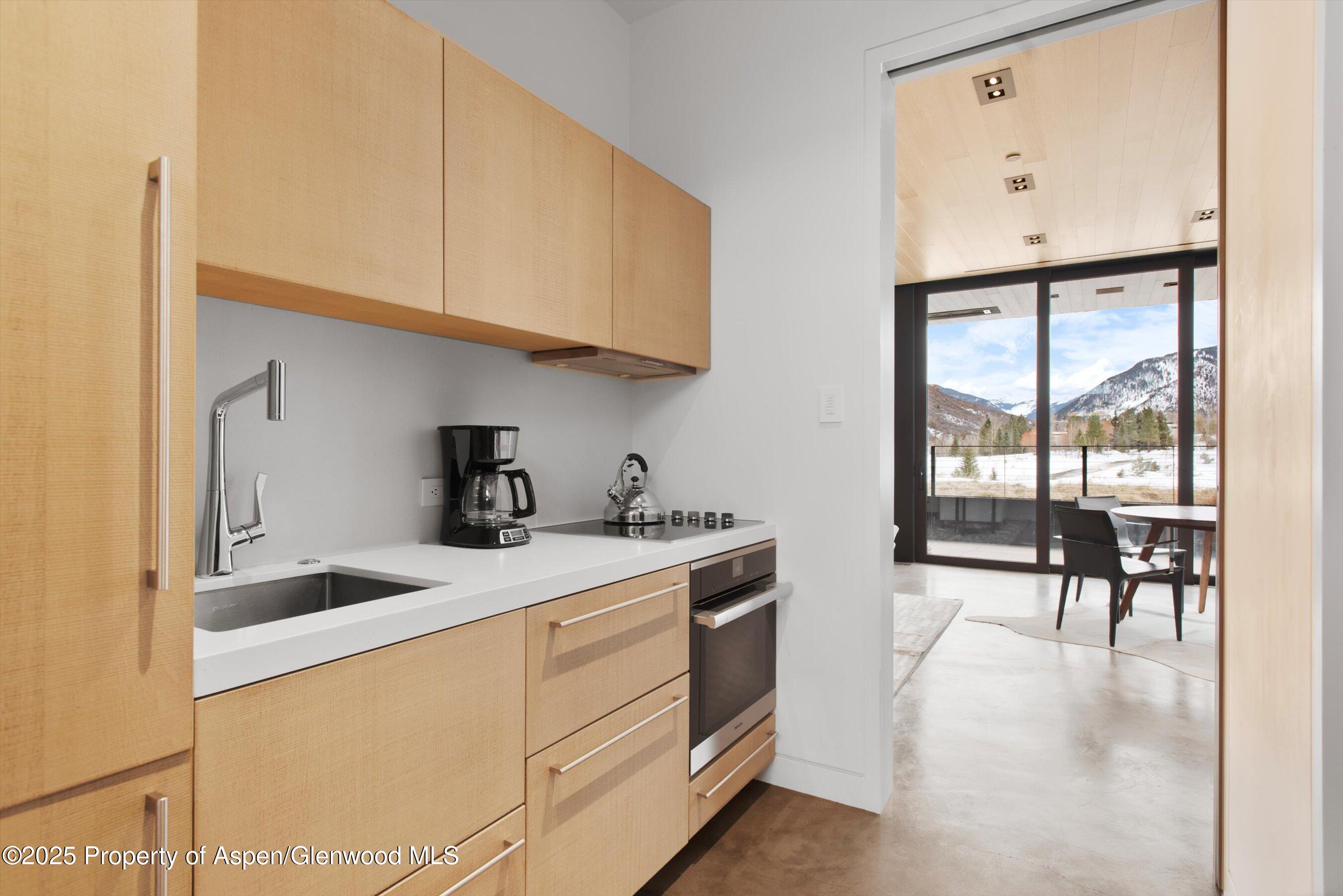 276 Coach Road Aspen CO 81611
