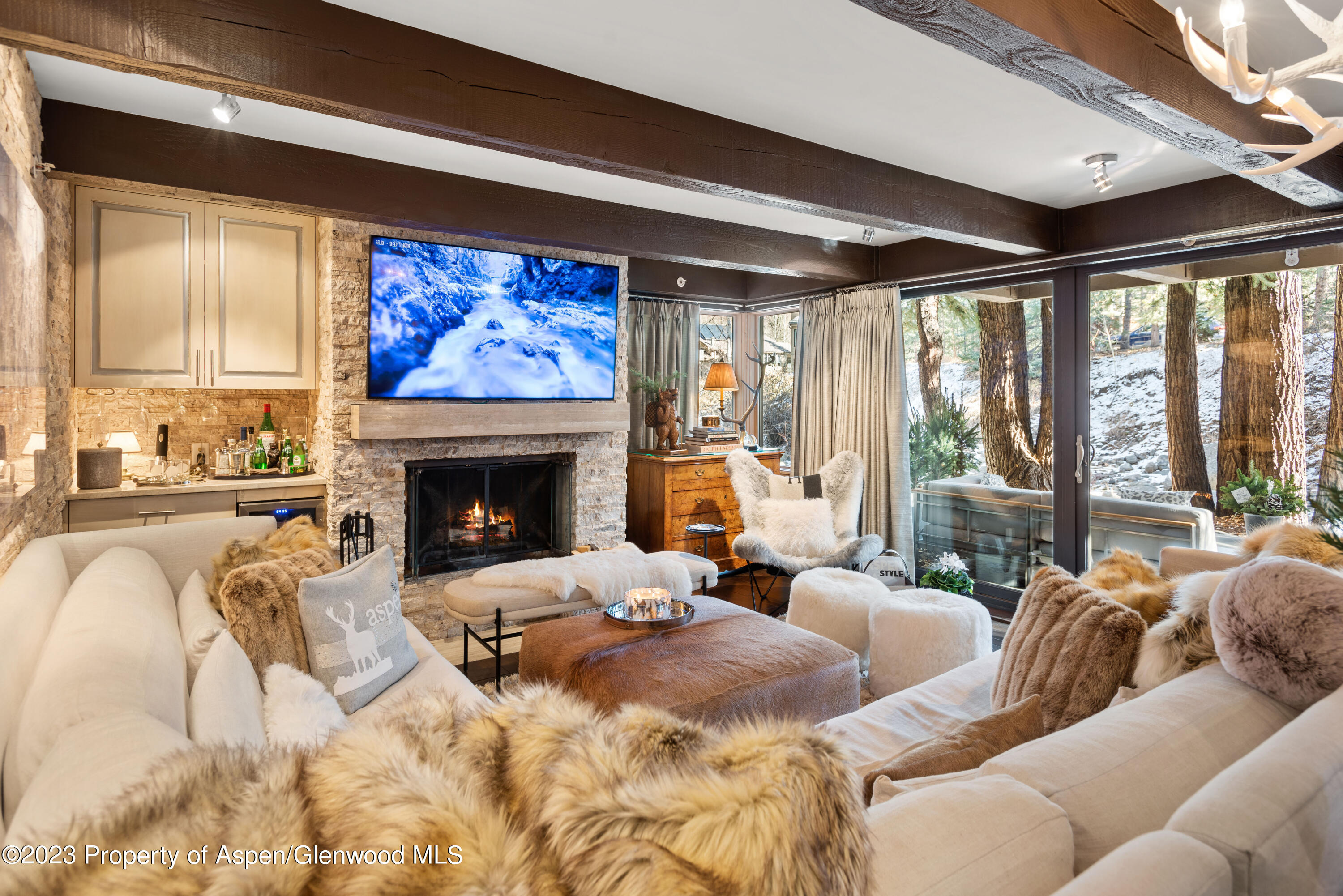 1034 E Cooper Avenue Aspen CO 81611