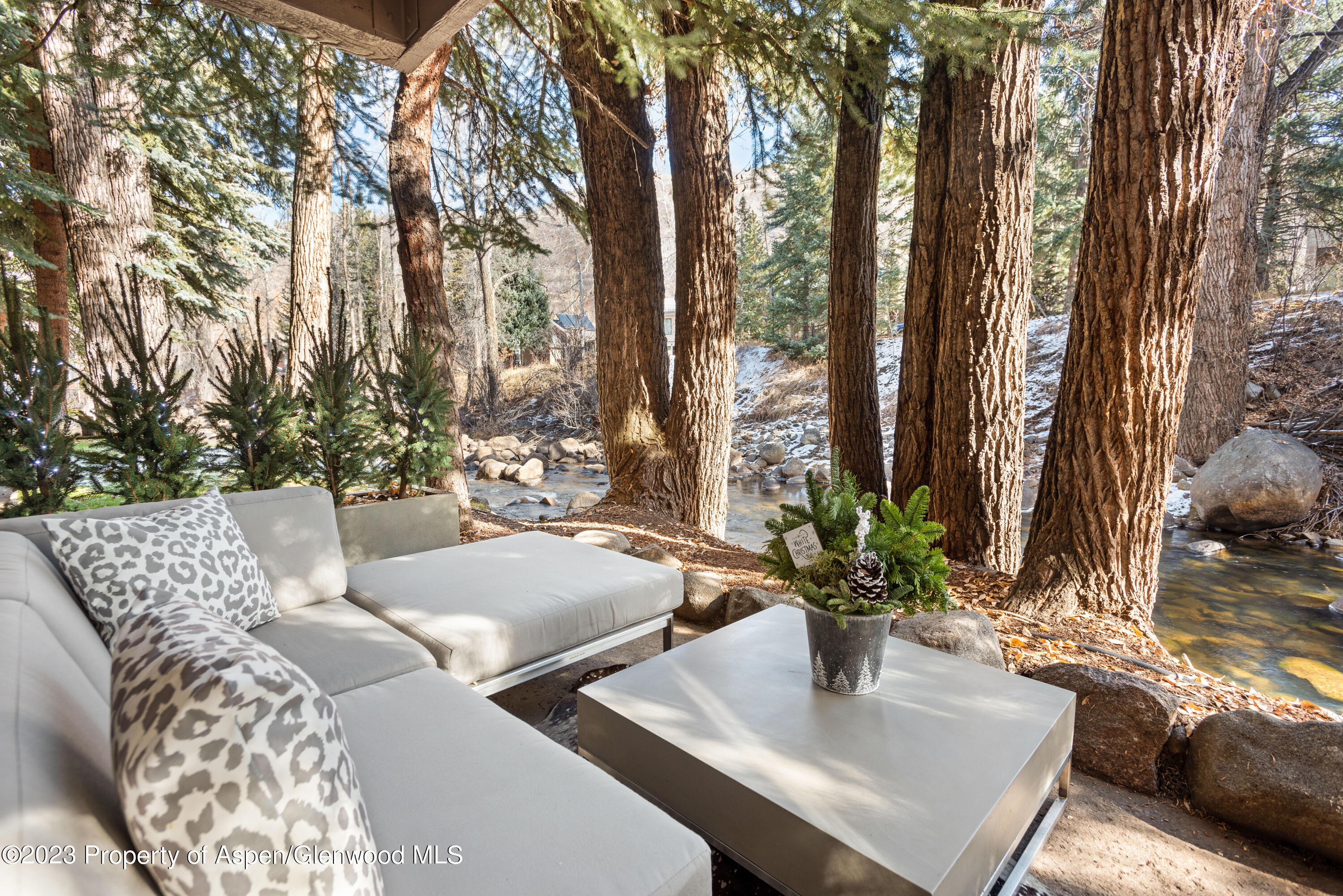 1034 E Cooper Avenue Aspen CO 81611