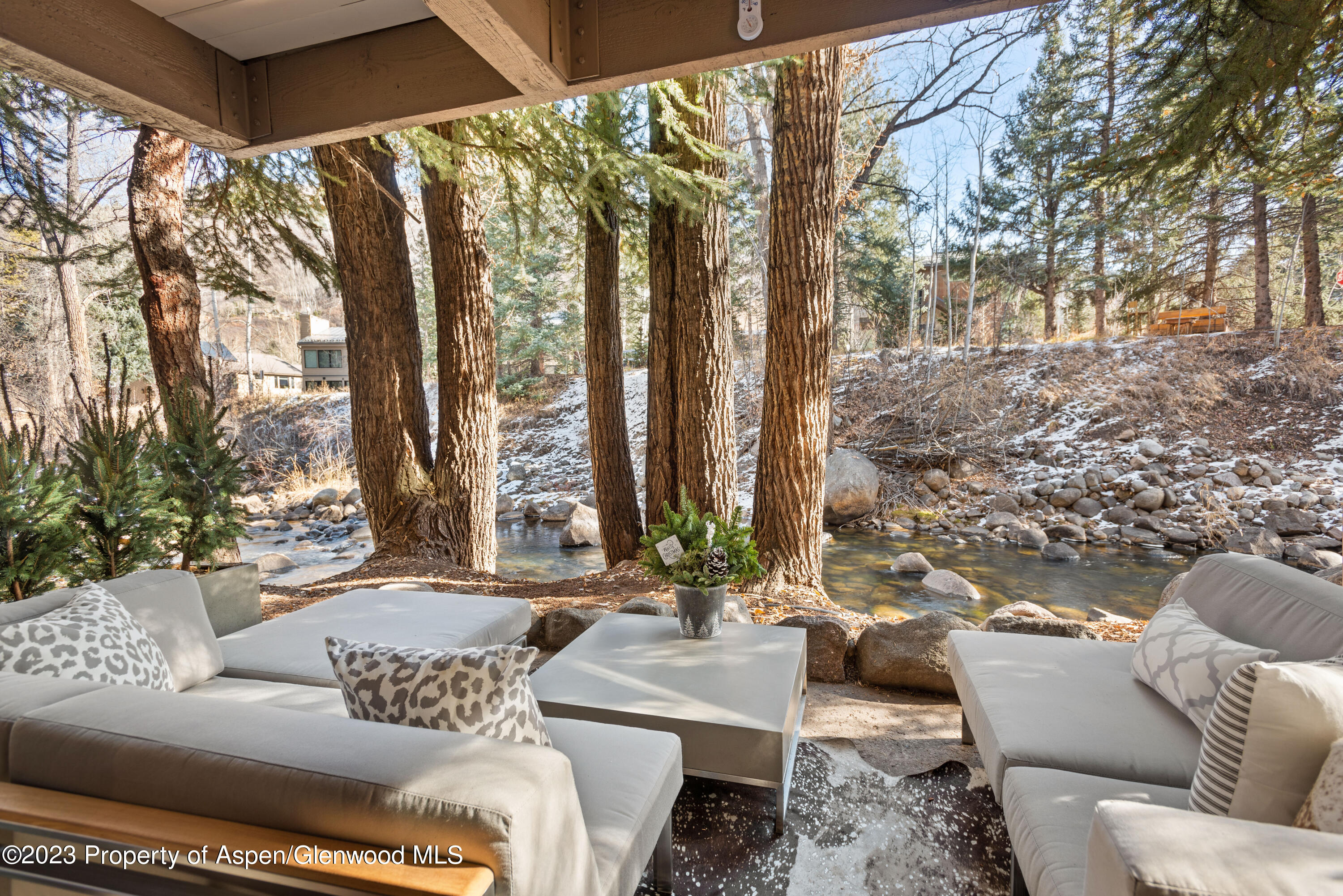 1034 E Cooper Avenue Aspen CO 81611