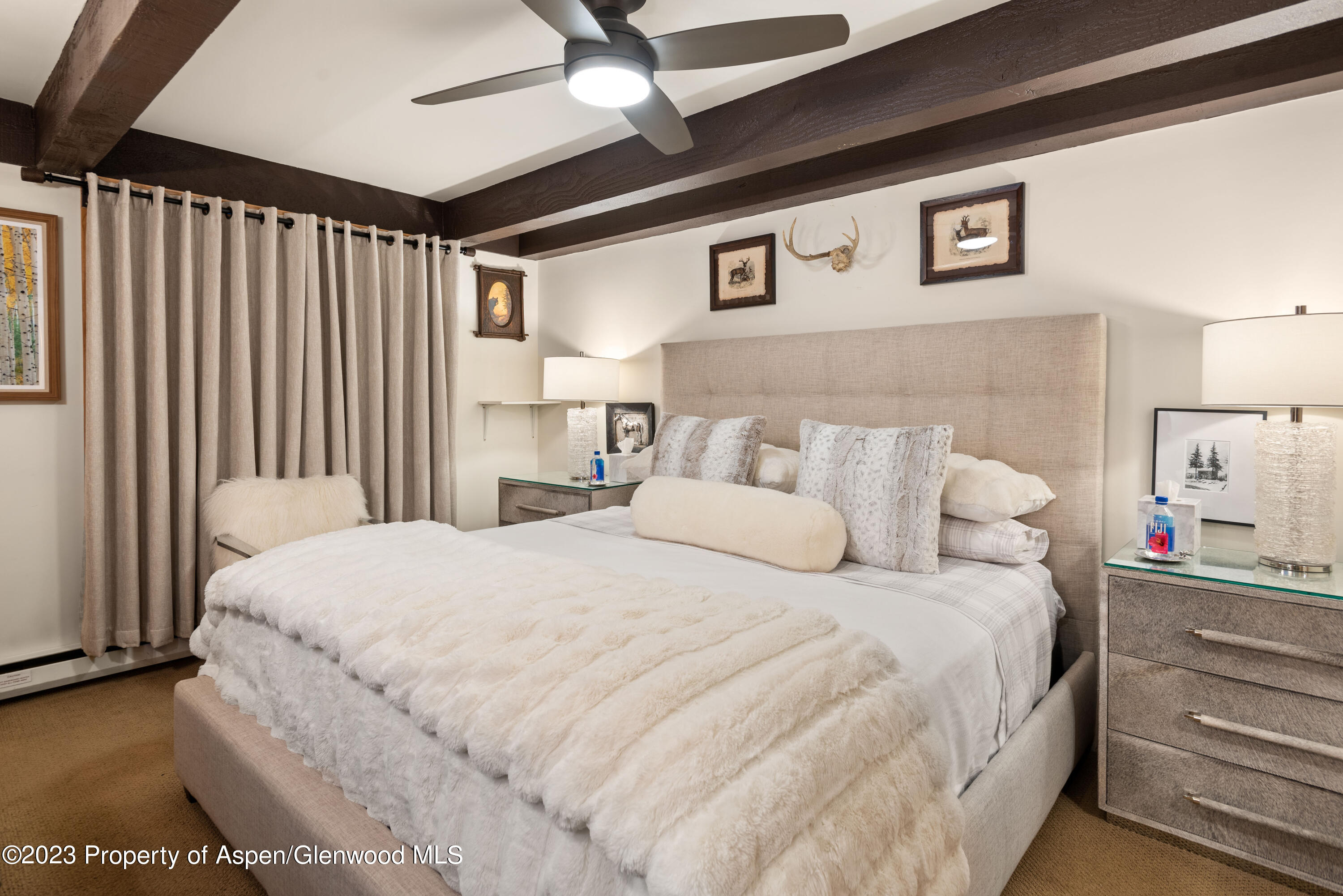 1034 E Cooper Avenue Aspen CO 81611