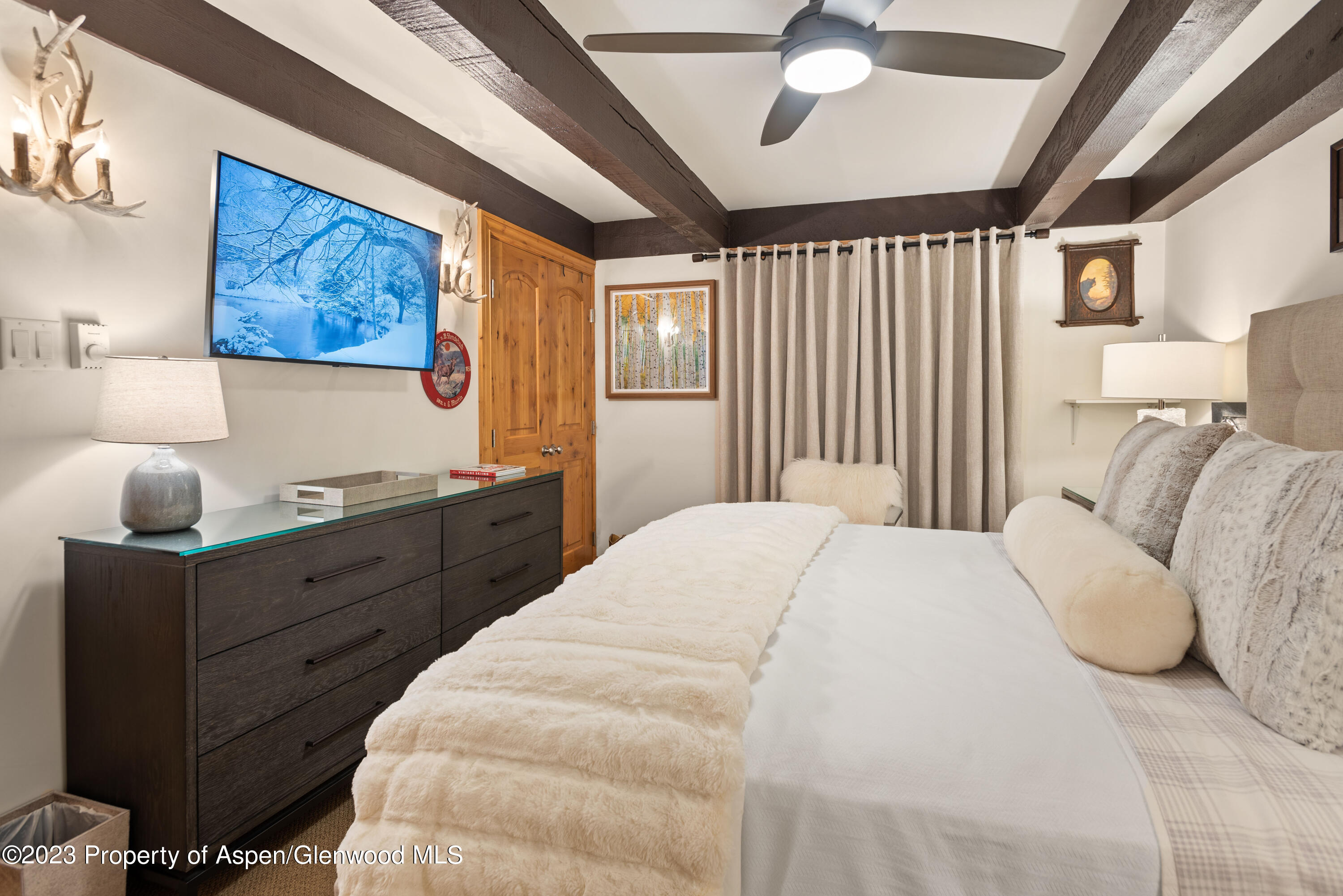 1034 E Cooper Avenue Aspen CO 81611