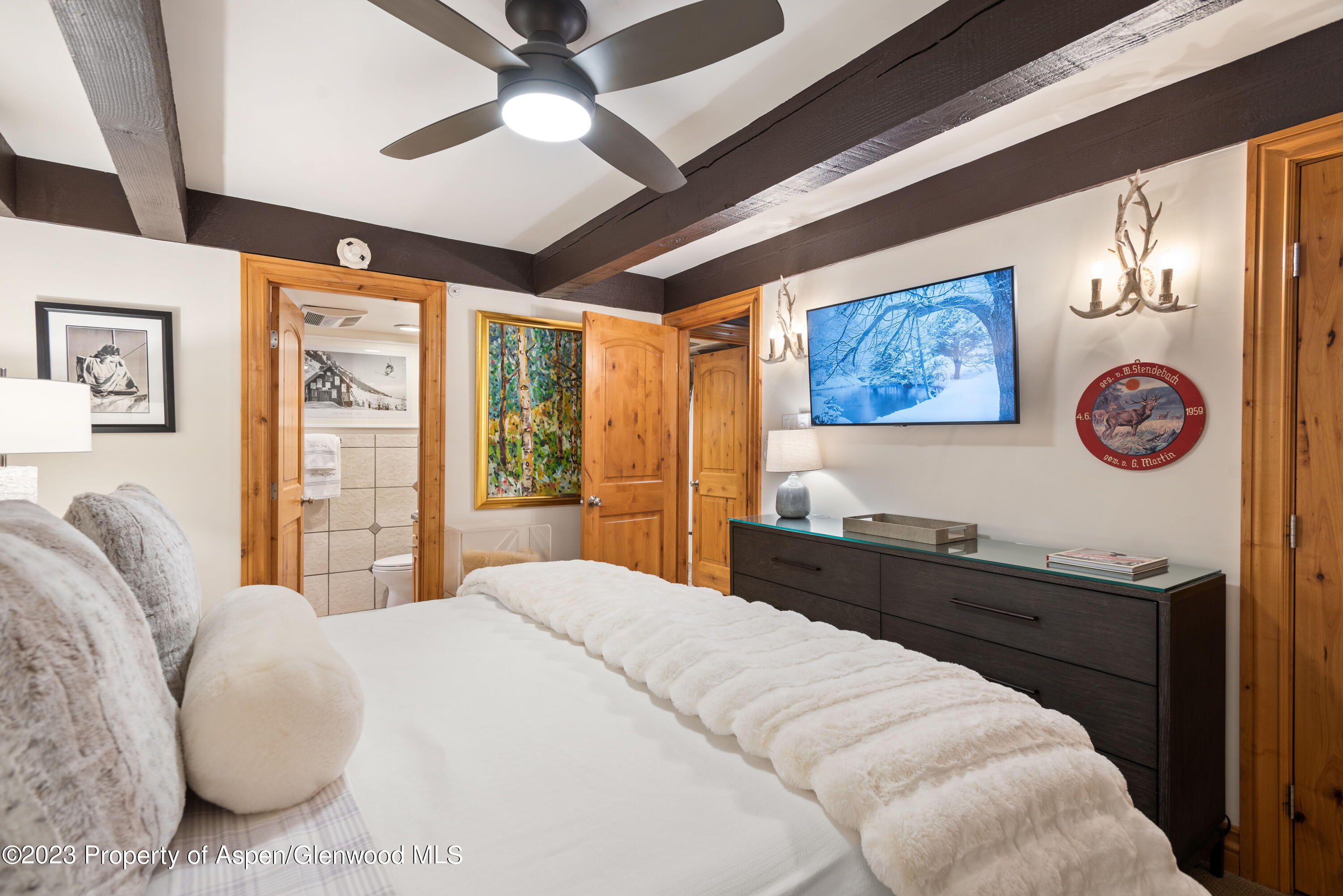 1034 E Cooper Avenue Aspen CO 81611