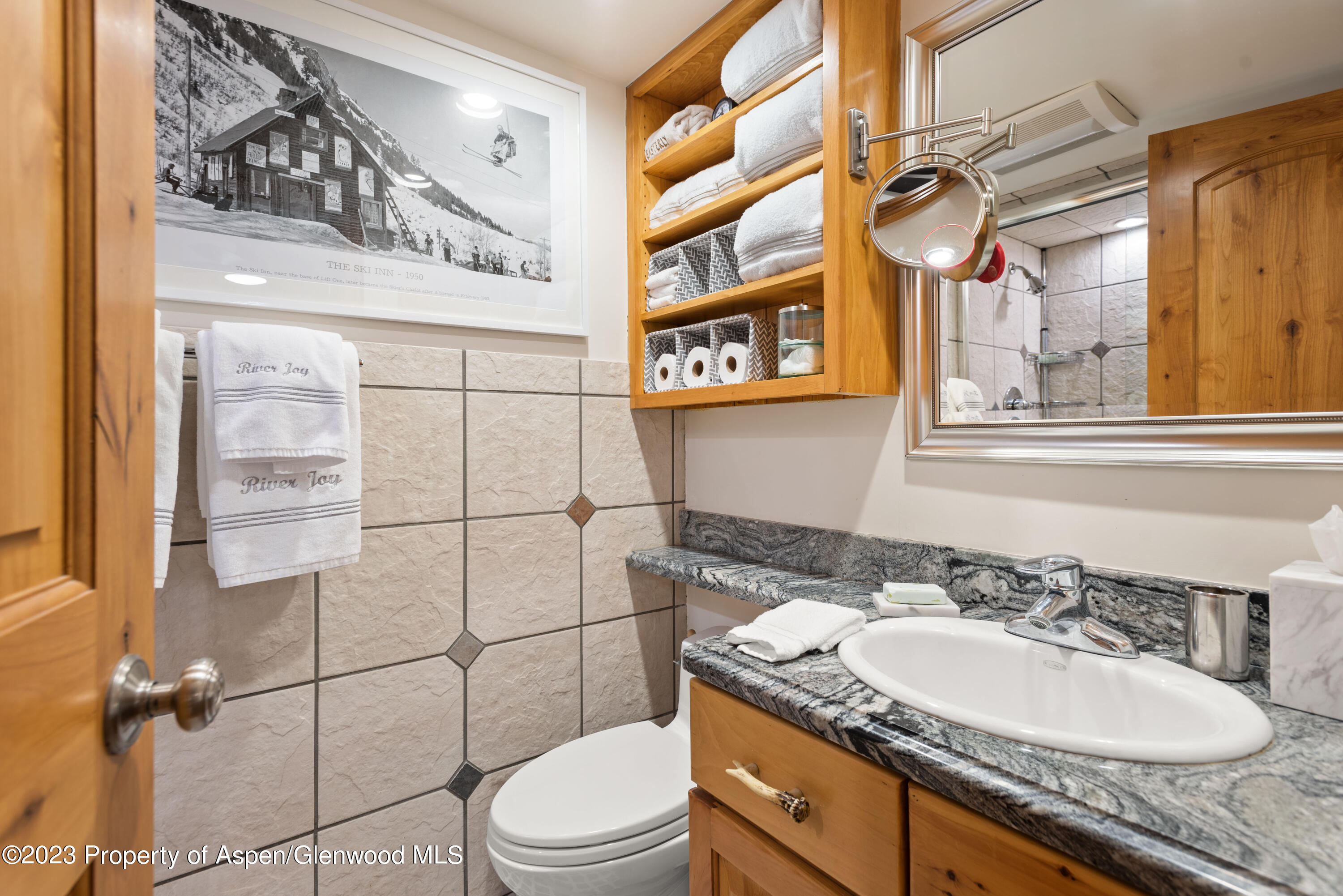 1034 E Cooper Avenue Aspen CO 81611