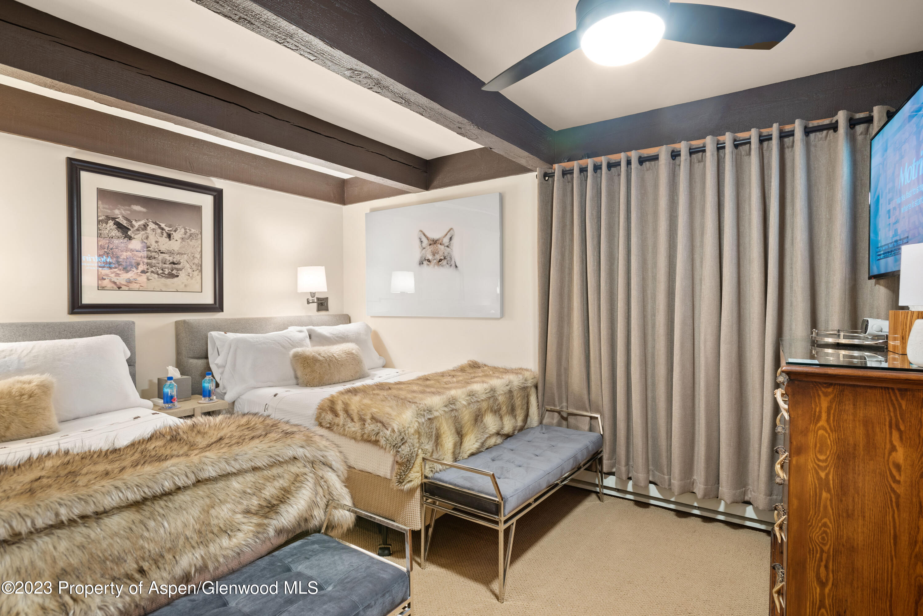 1034 E Cooper Avenue Aspen CO 81611