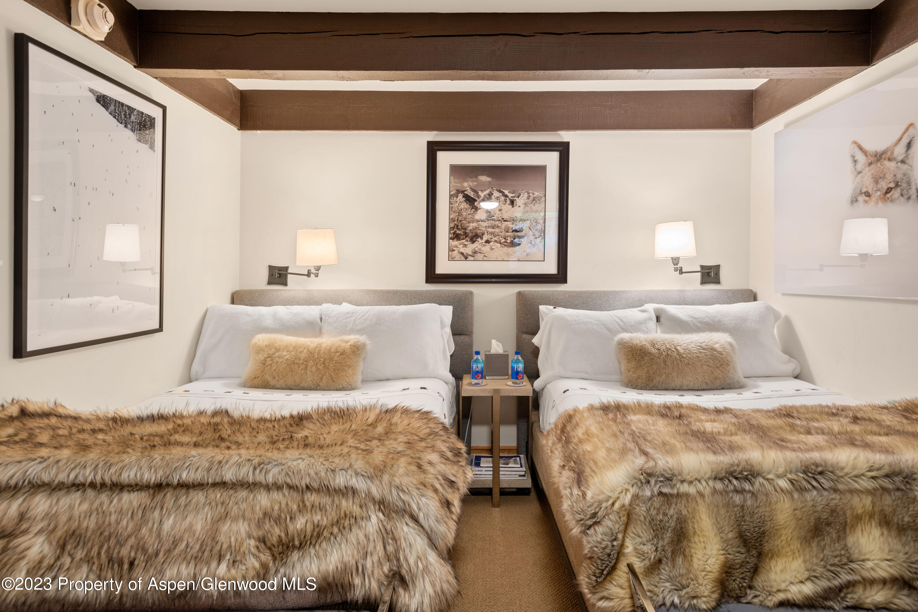 1034 E Cooper Avenue Aspen CO 81611