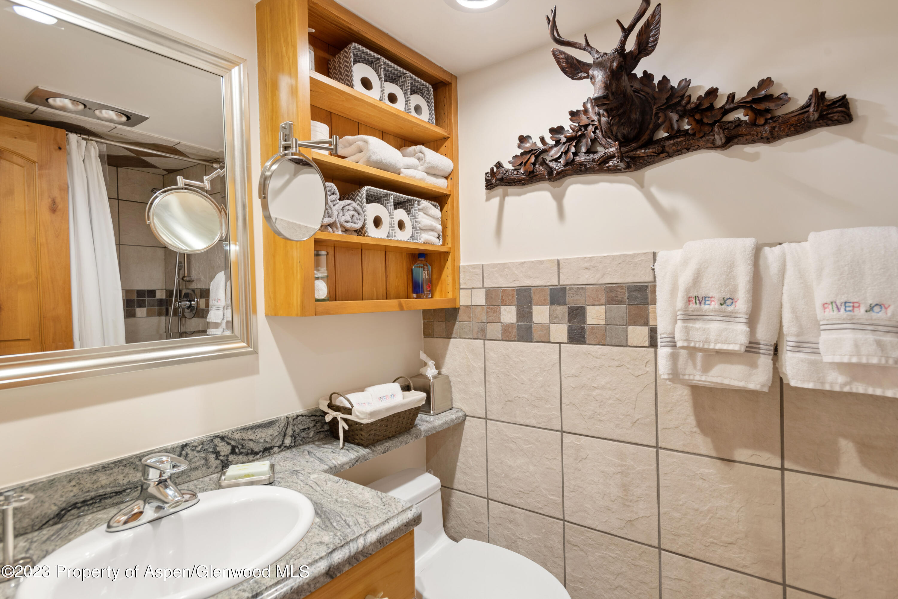 1034 E Cooper Avenue Aspen CO 81611