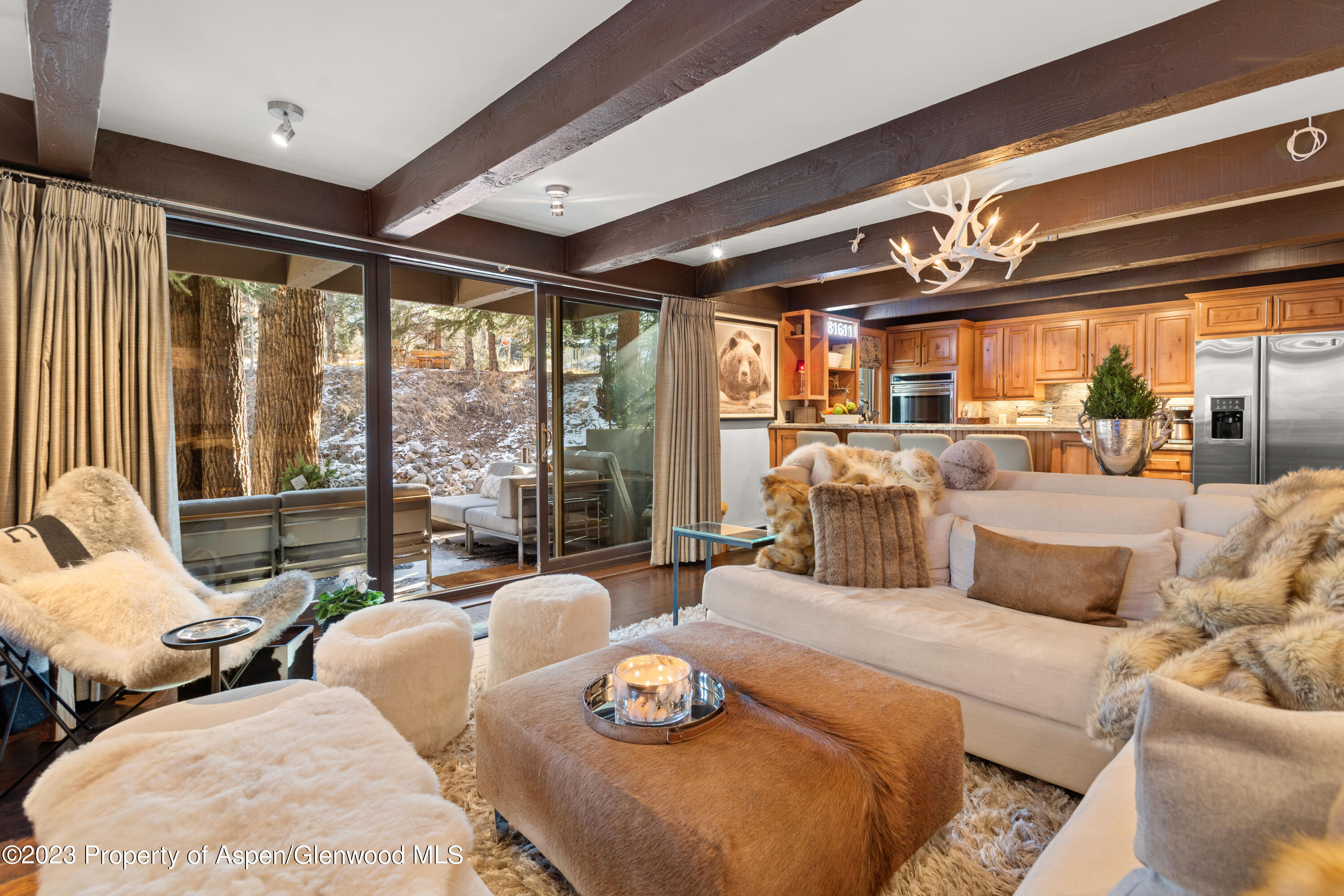 1034 E Cooper Avenue Aspen CO 81611