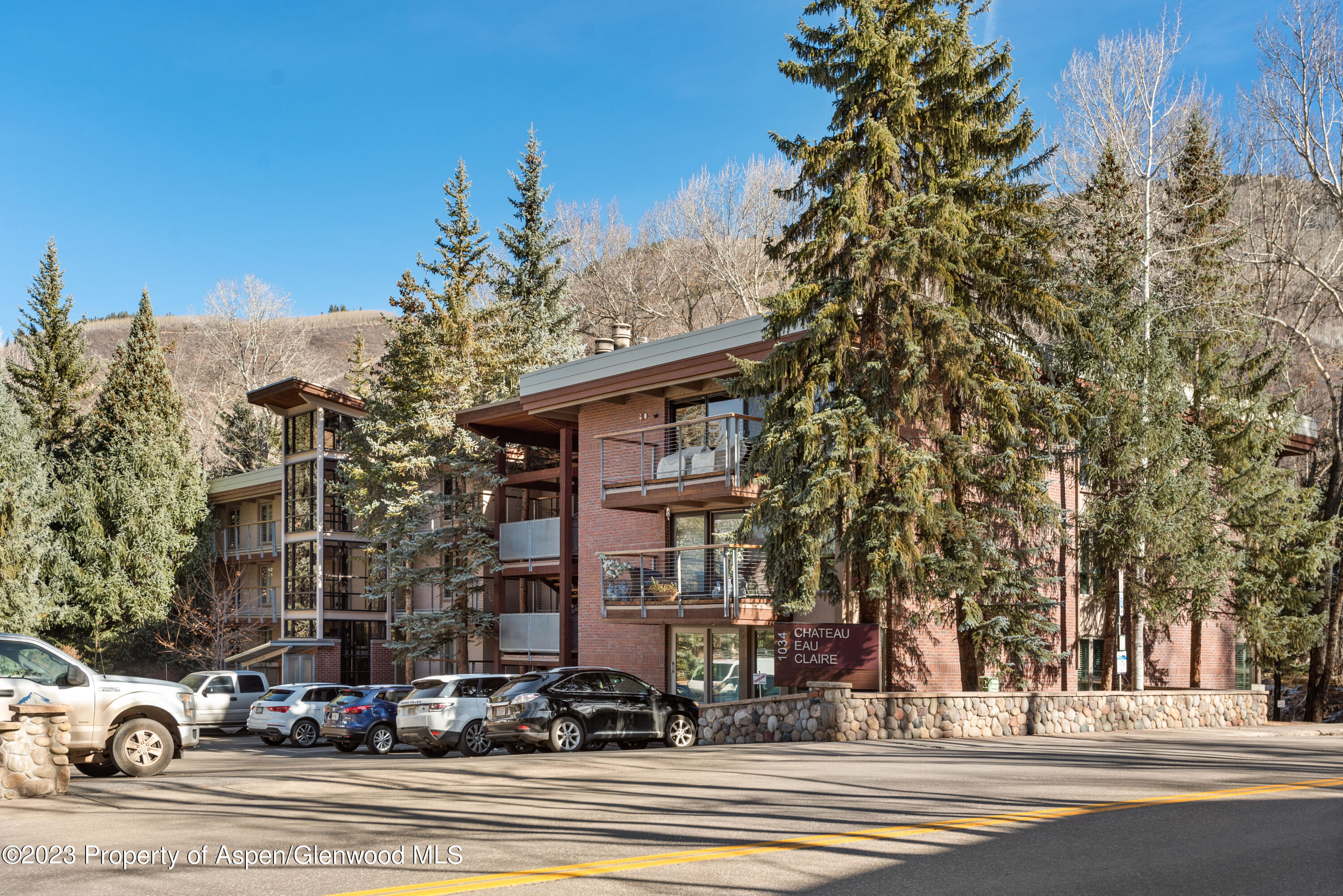 1034 E Cooper Avenue Aspen CO 81611