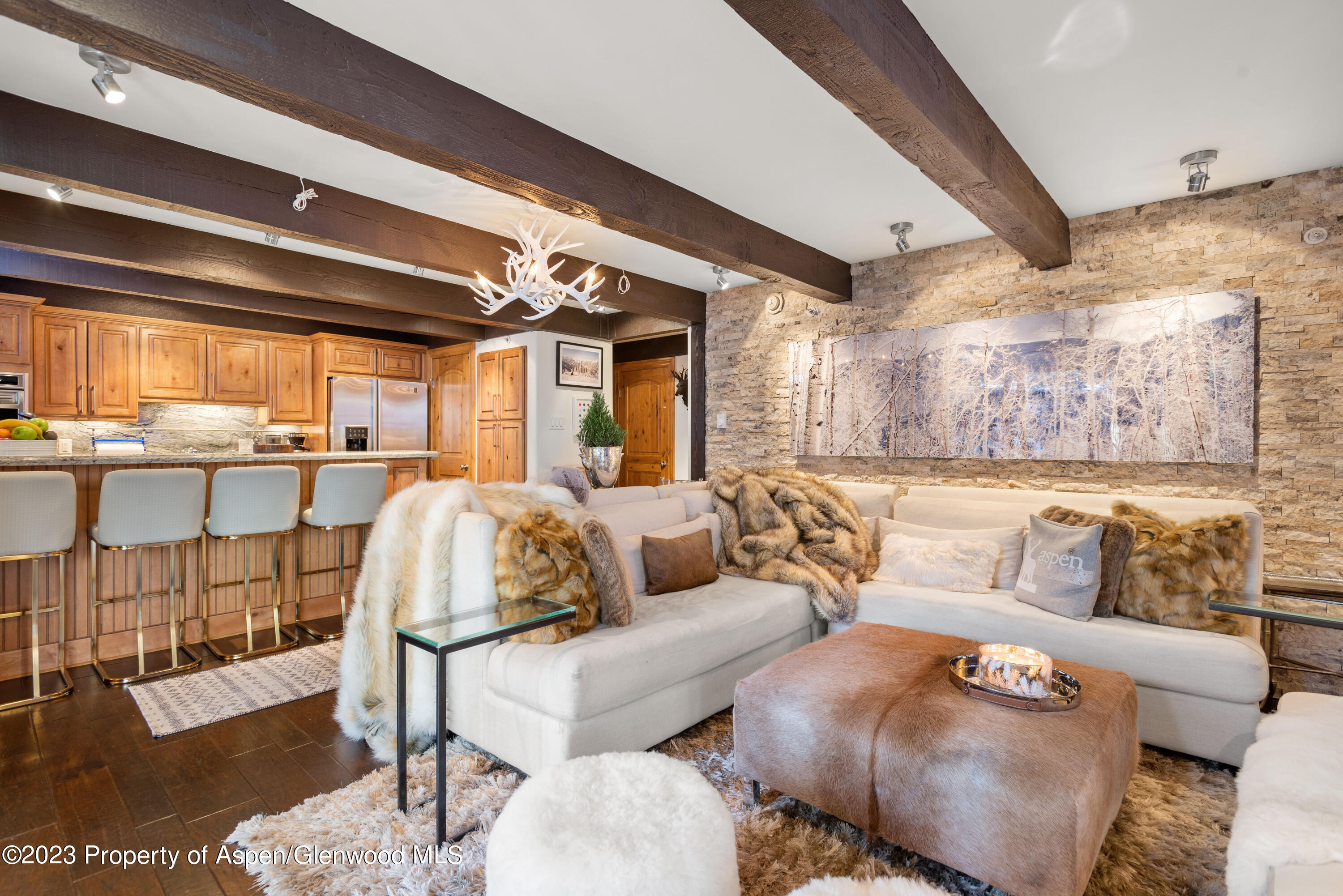 1034 E Cooper Avenue Aspen CO 81611