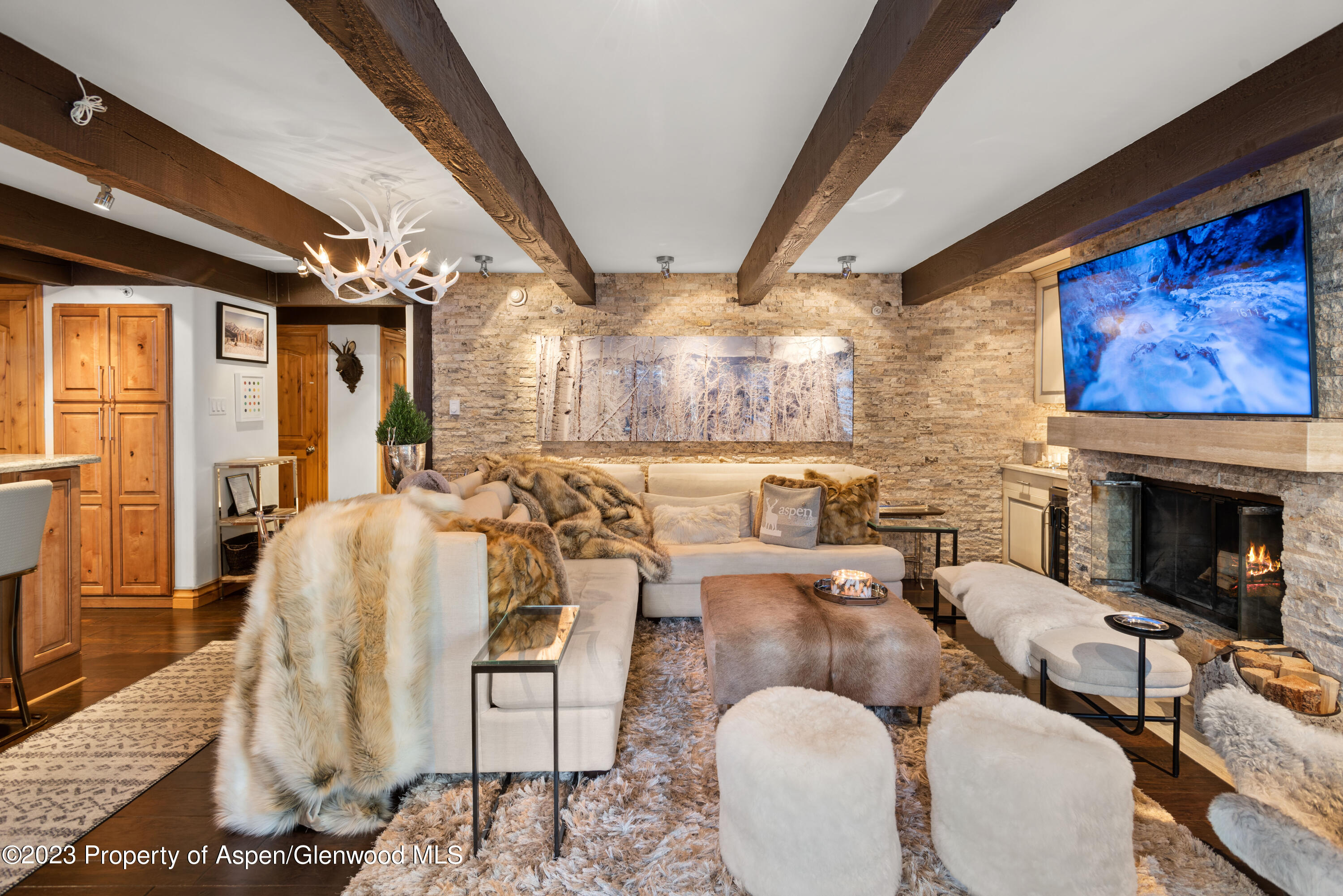 1034 E Cooper Avenue Aspen CO 81611