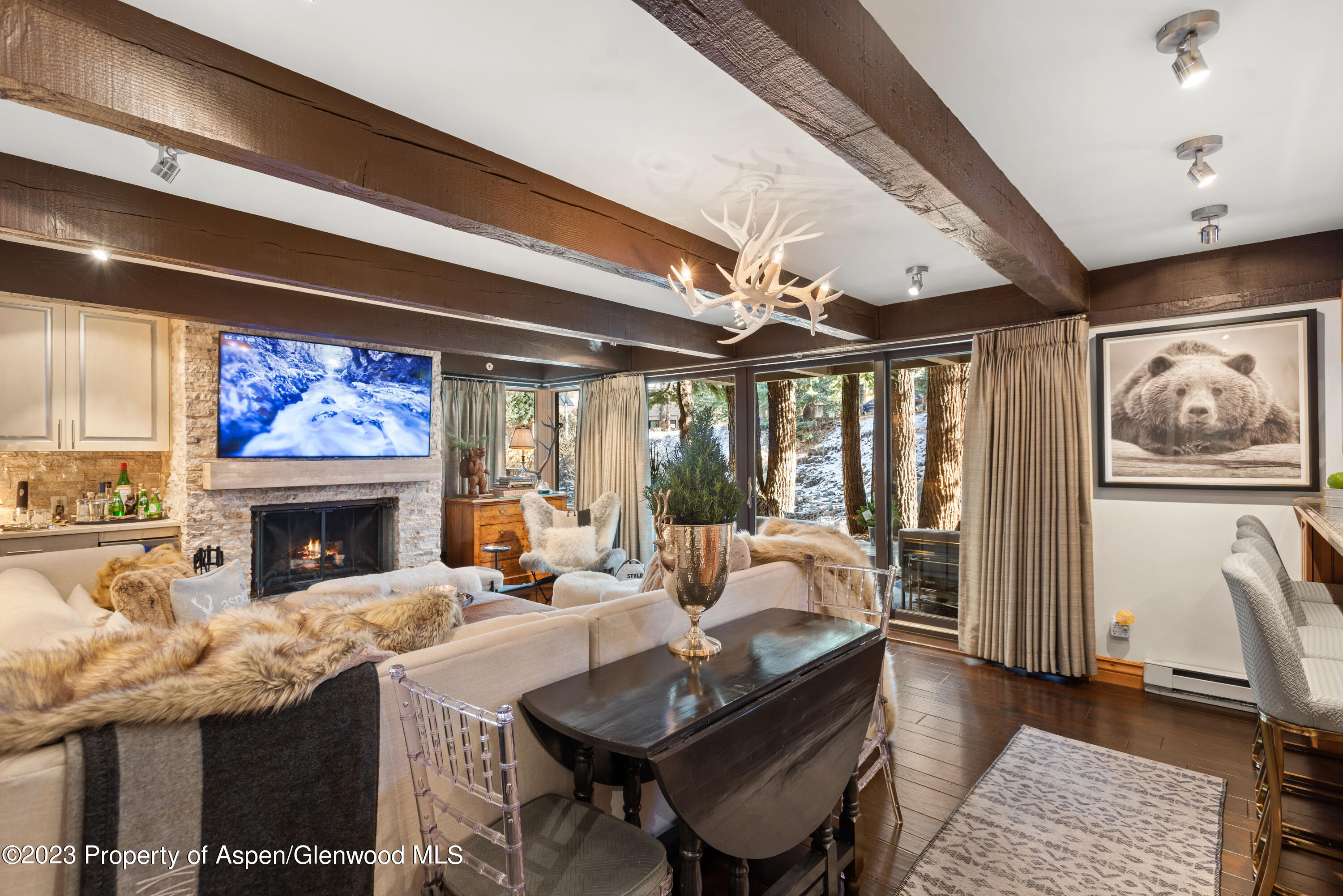 1034 E Cooper Avenue Aspen CO 81611