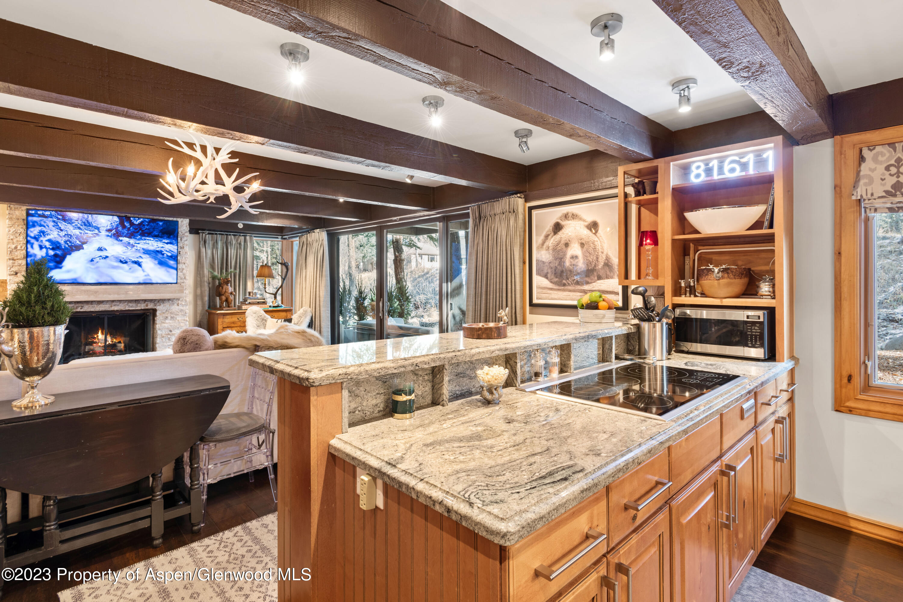 1034 E Cooper Avenue Aspen CO 81611