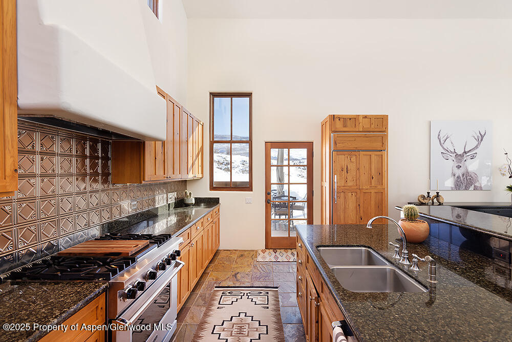 661 Green Meadow Drive Carbondale CO 81623