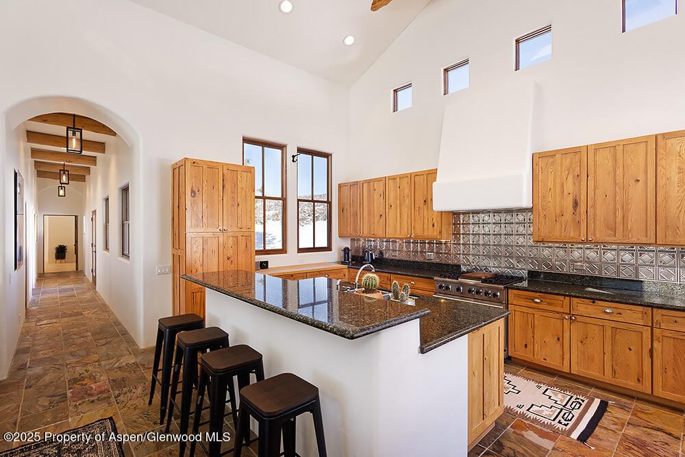 661 Green Meadow Drive Carbondale CO 81623