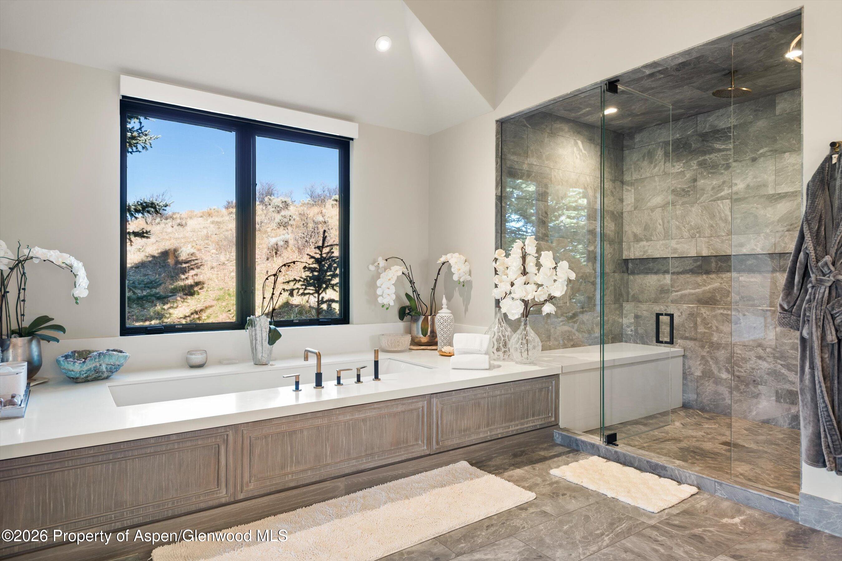75 Mclain Court Aspen CO 81611