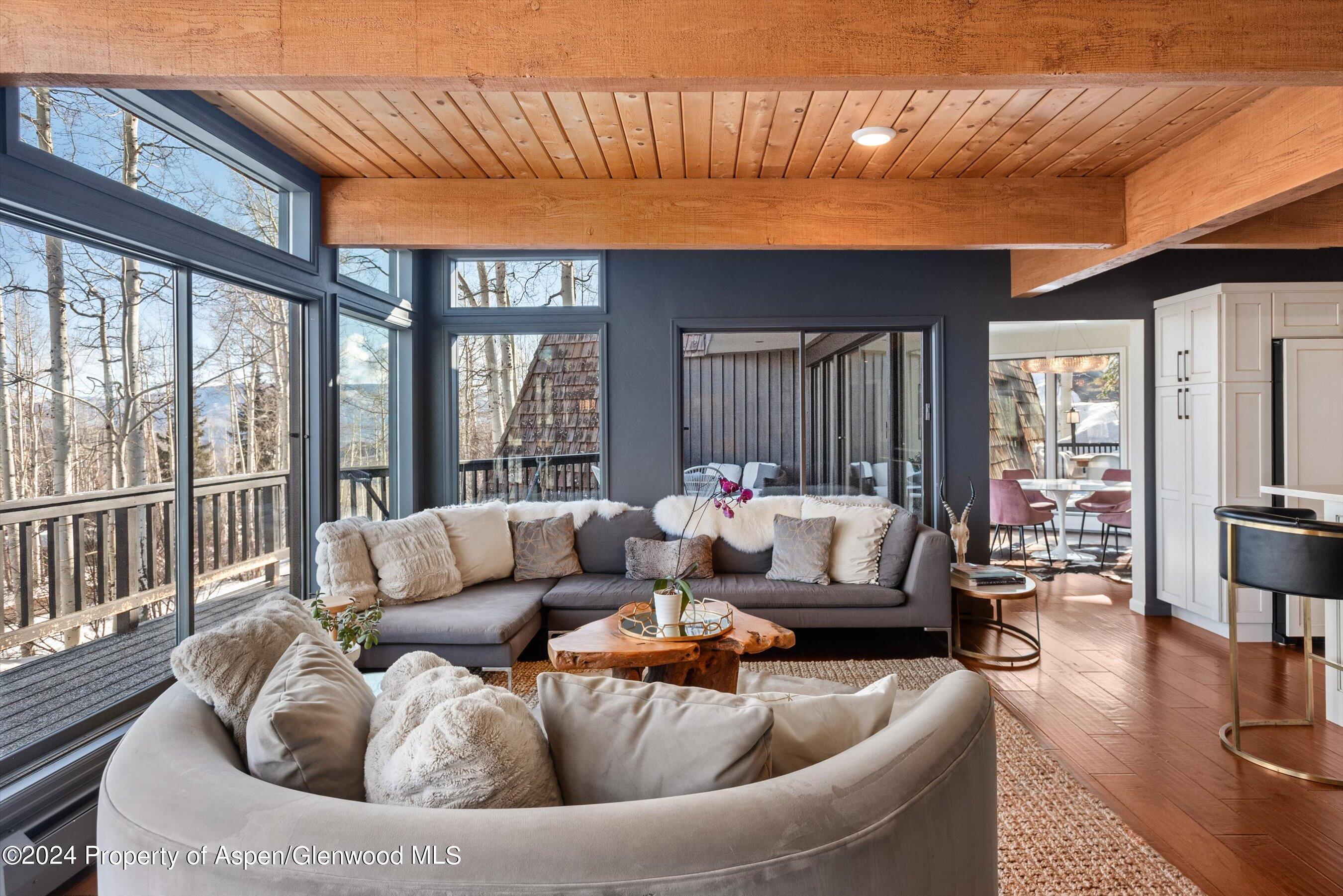 49 Elk Ridge Lane Snowmass Village CO 81615