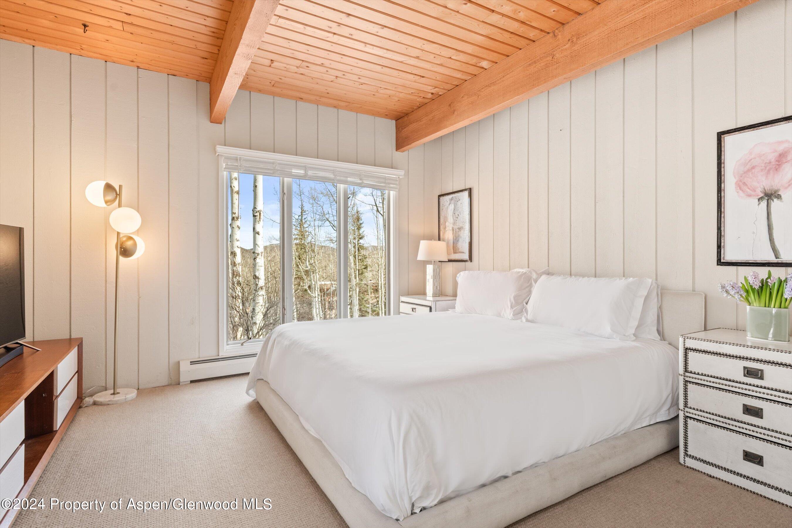 49 Elk Ridge Lane Snowmass Village CO 81615