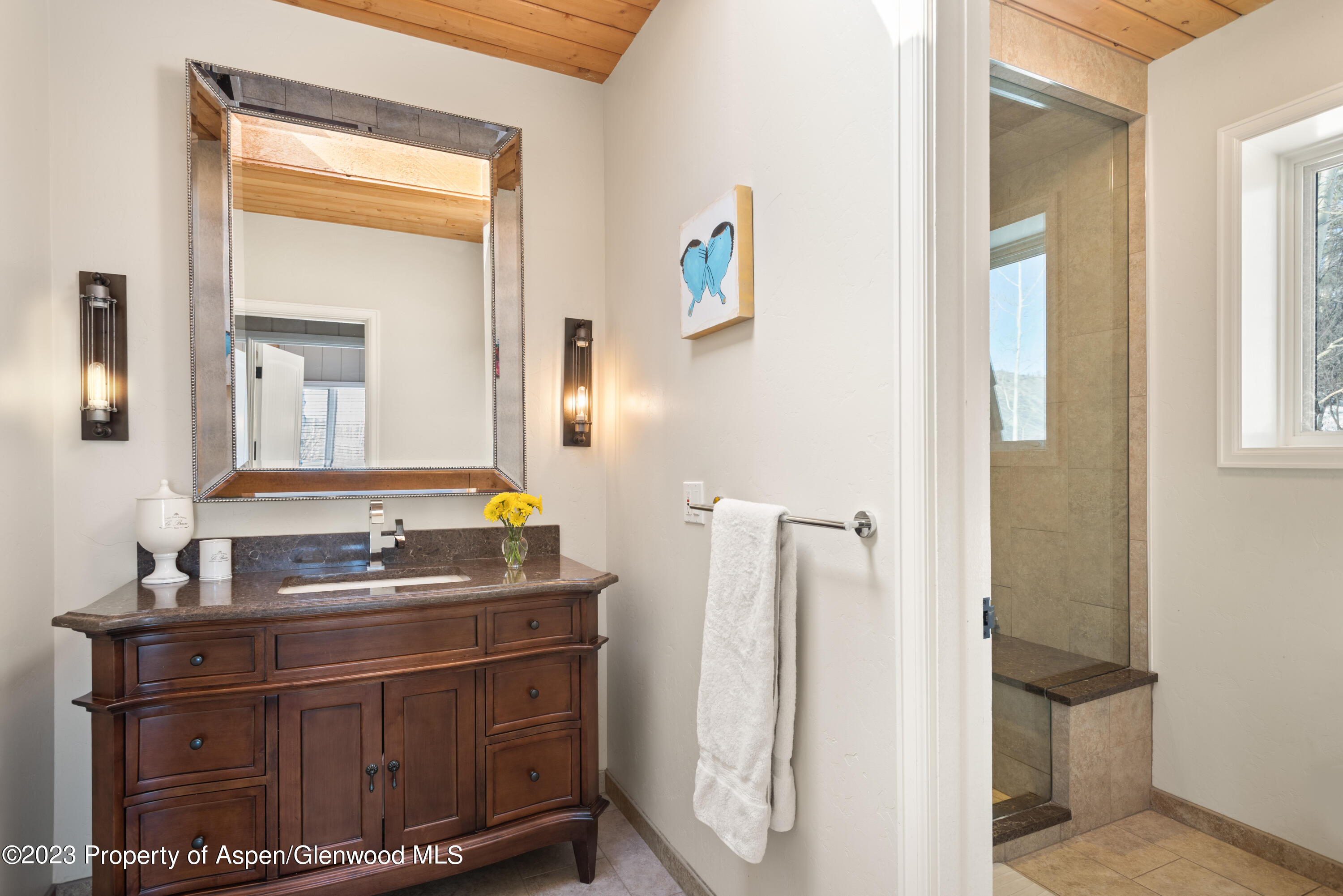 49 Elk Ridge Lane Snowmass Village CO 81615