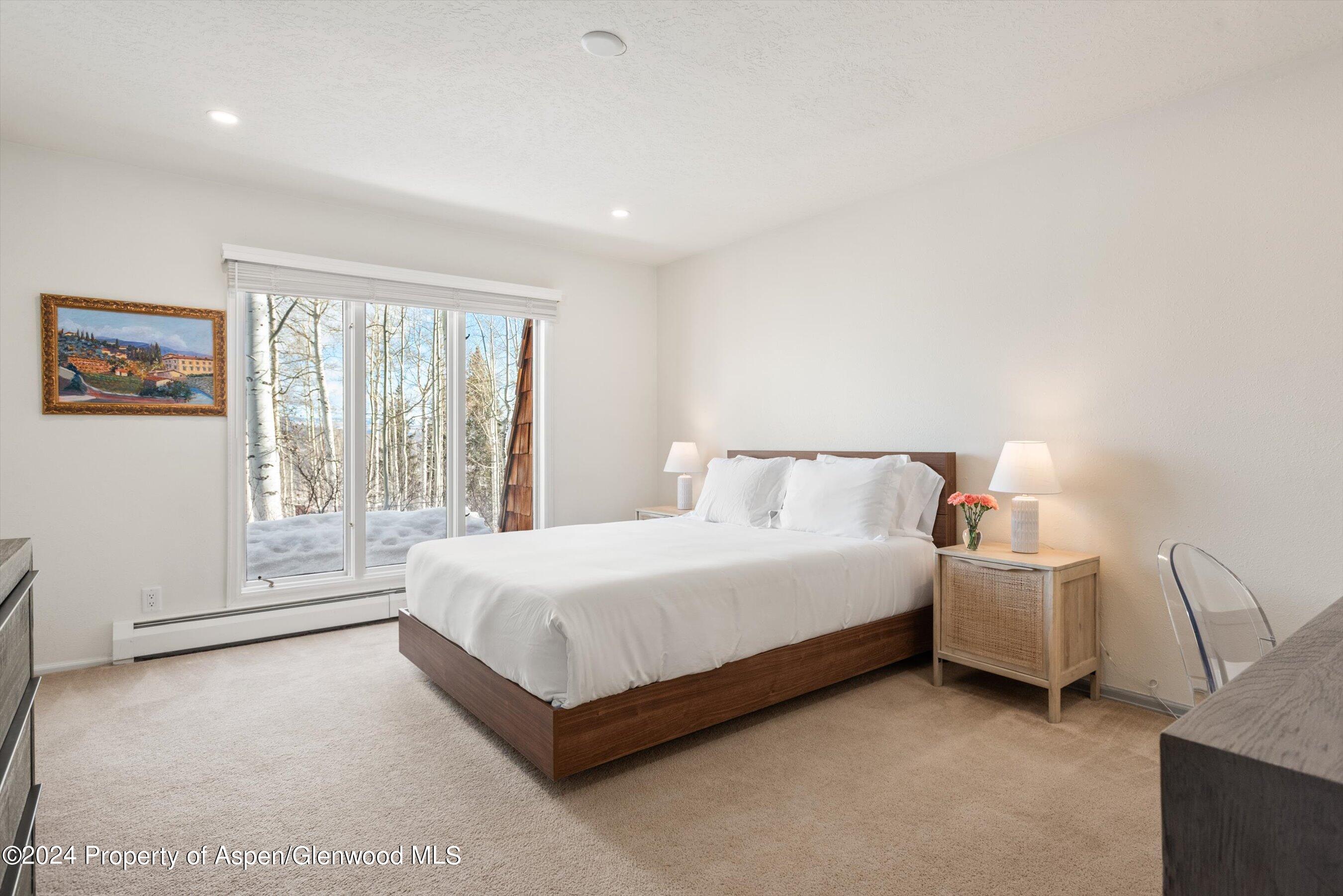 49 Elk Ridge Lane Snowmass Village CO 81615