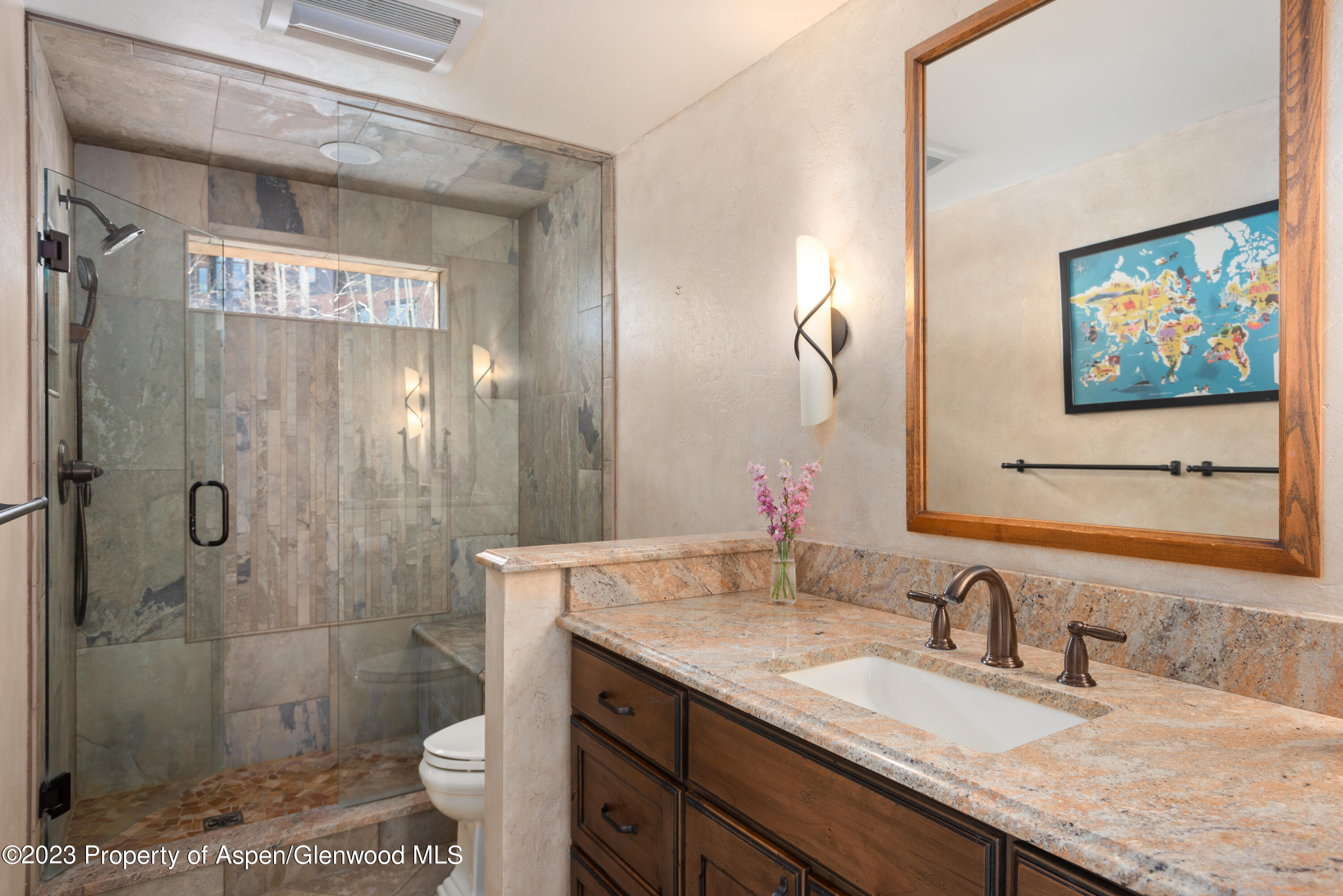 49 Elk Ridge Lane Snowmass Village CO 81615