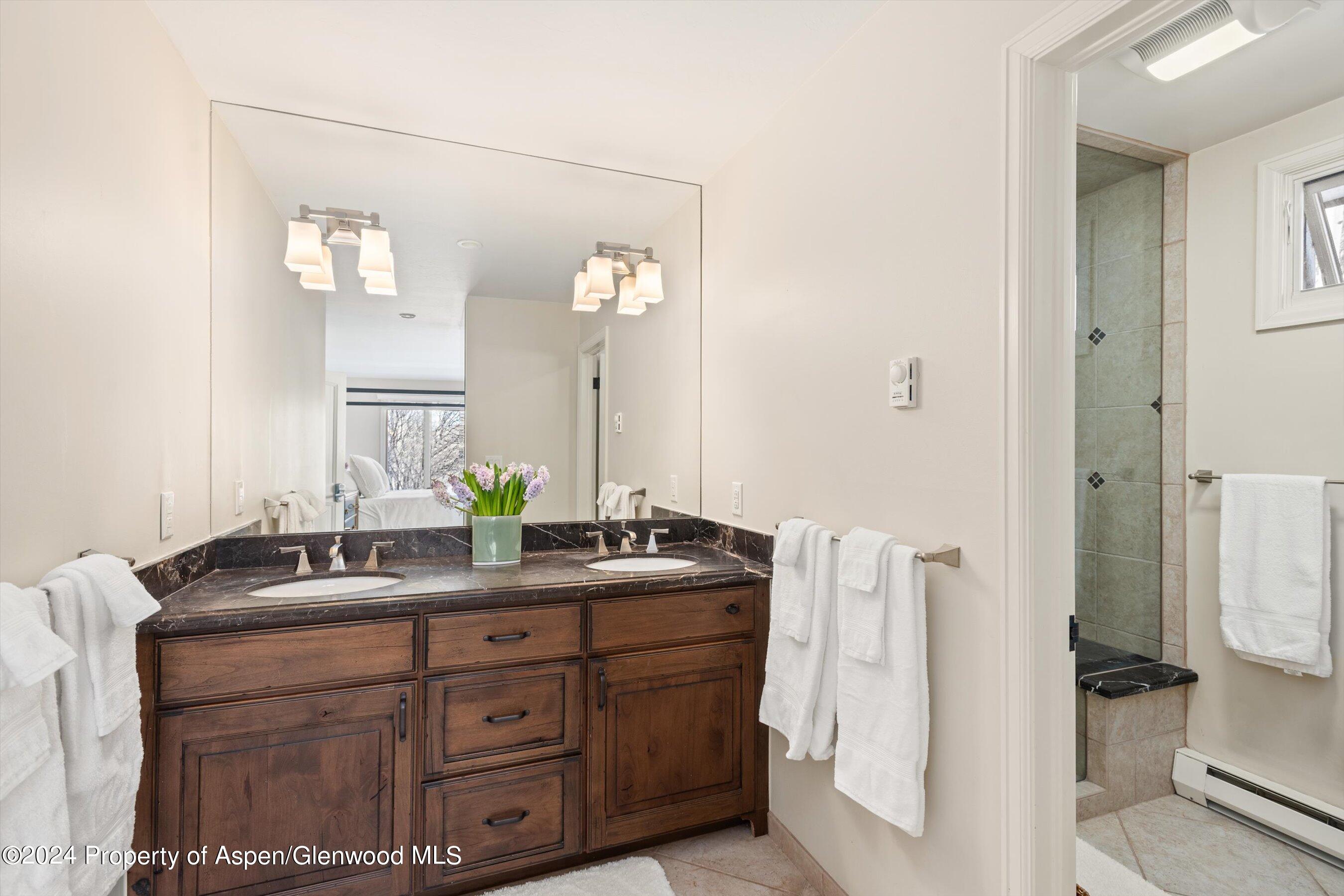 49 Elk Ridge Lane Snowmass Village CO 81615