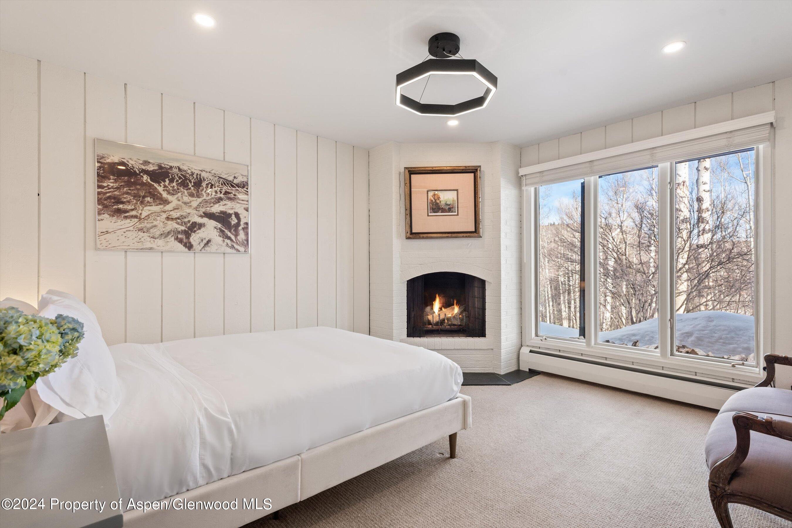 49 Elk Ridge Lane Snowmass Village CO 81615