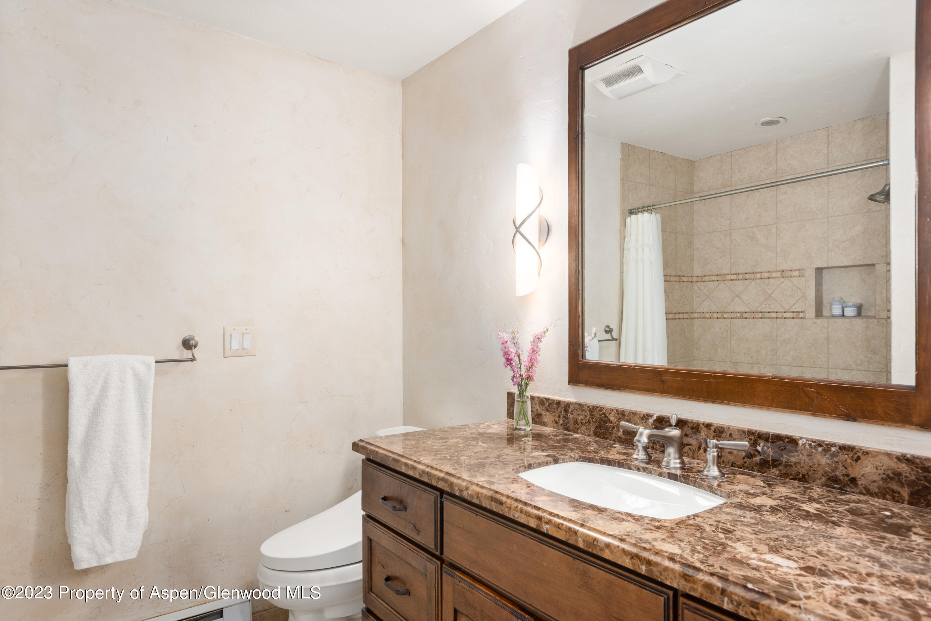 49 Elk Ridge Lane Snowmass Village CO 81615