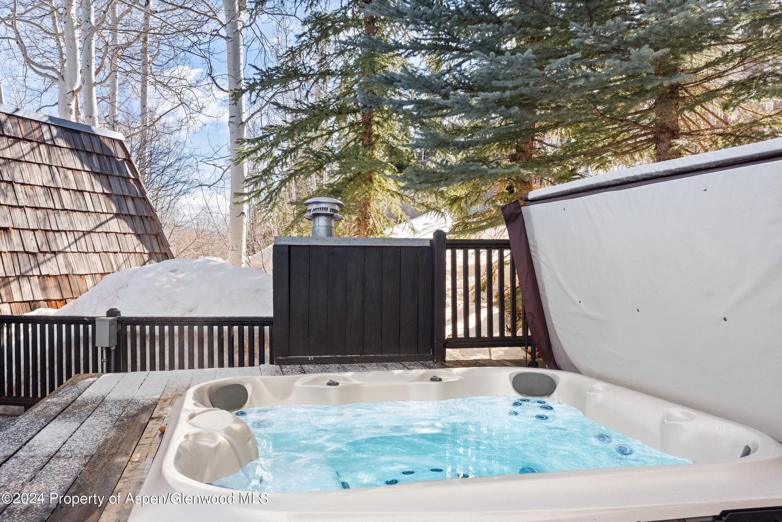 49 Elk Ridge Lane Snowmass Village CO 81615
