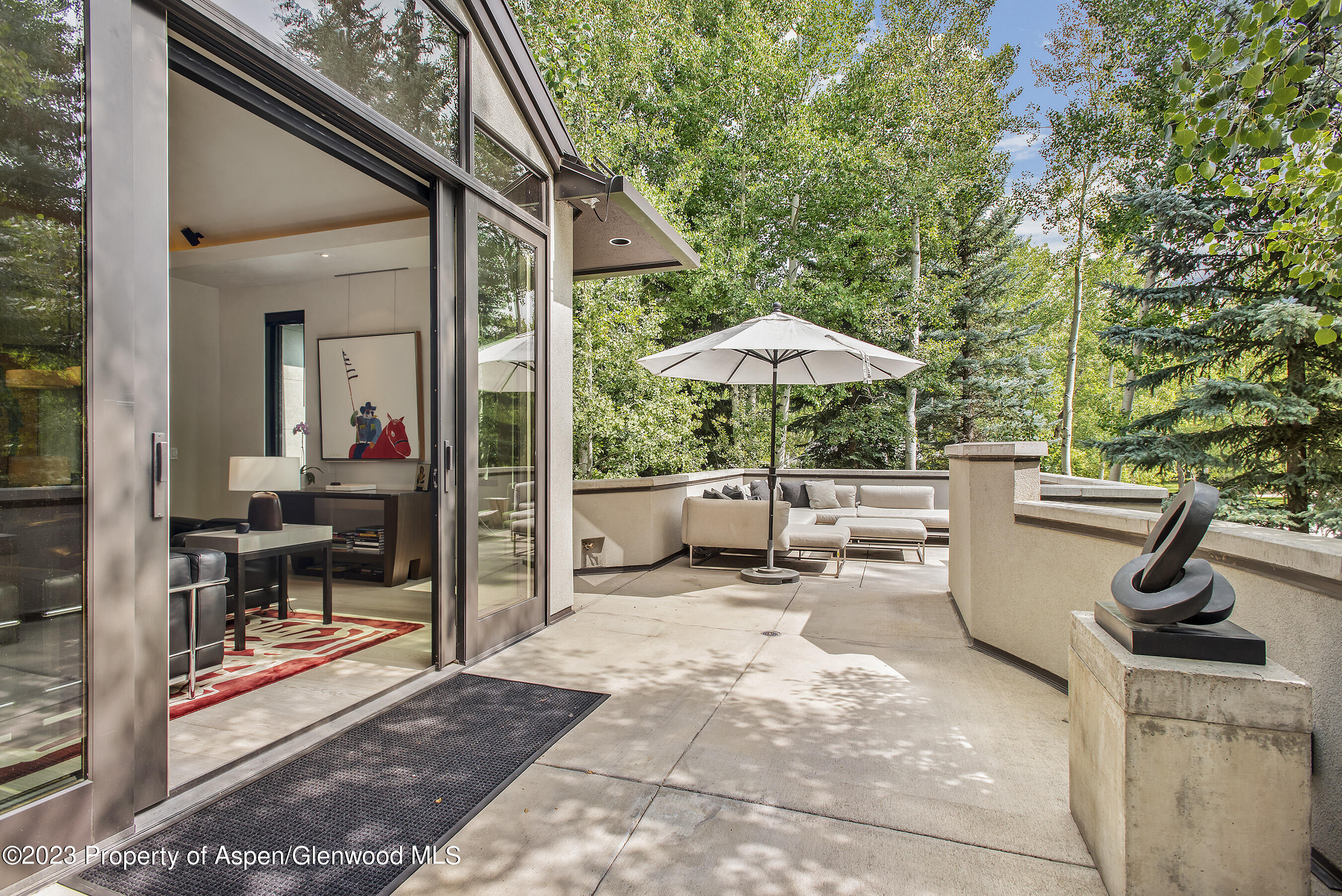 307 N Sixth Street Aspen CO 81611