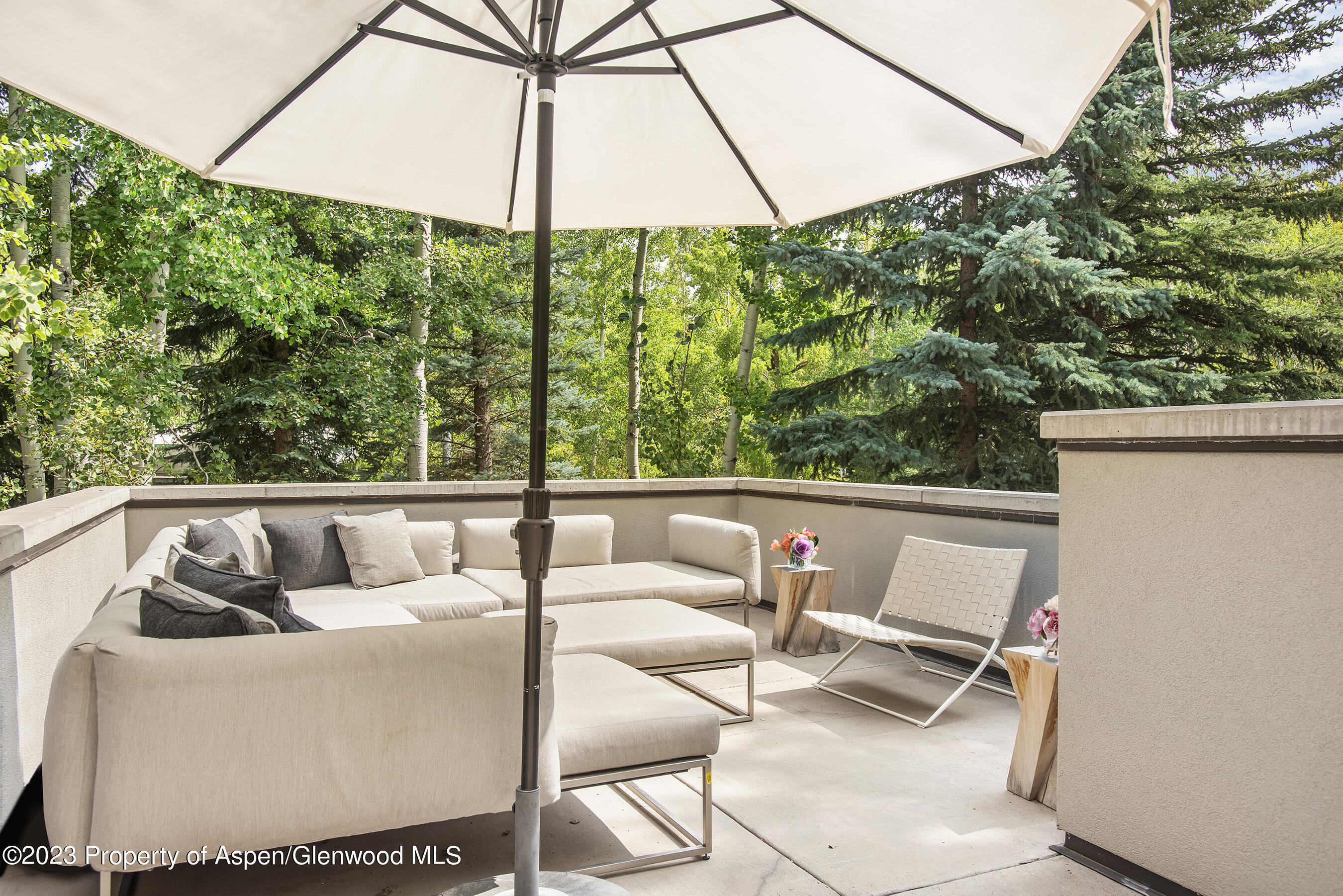 307 N Sixth Street Aspen CO 81611