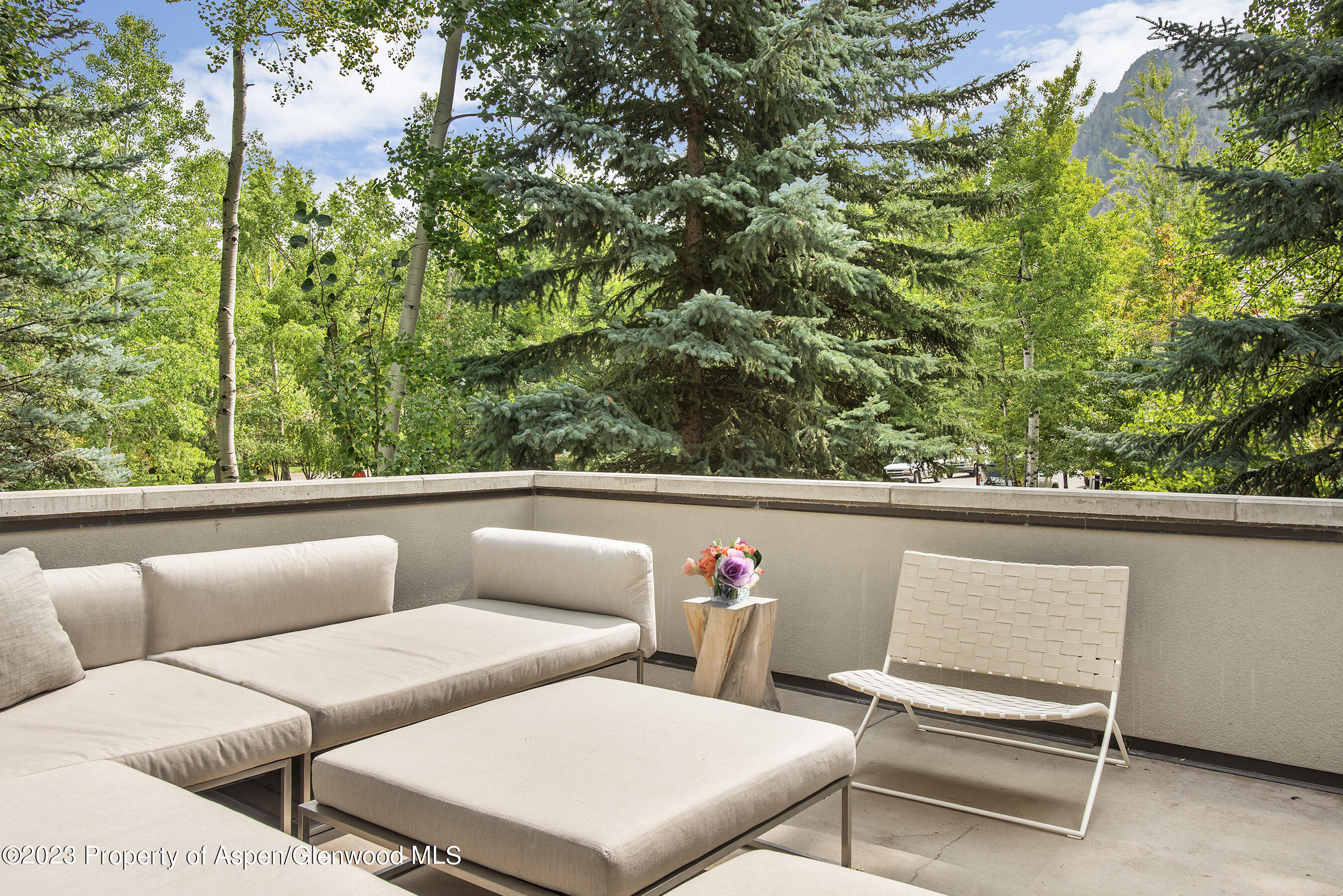 307 N Sixth Street Aspen CO 81611