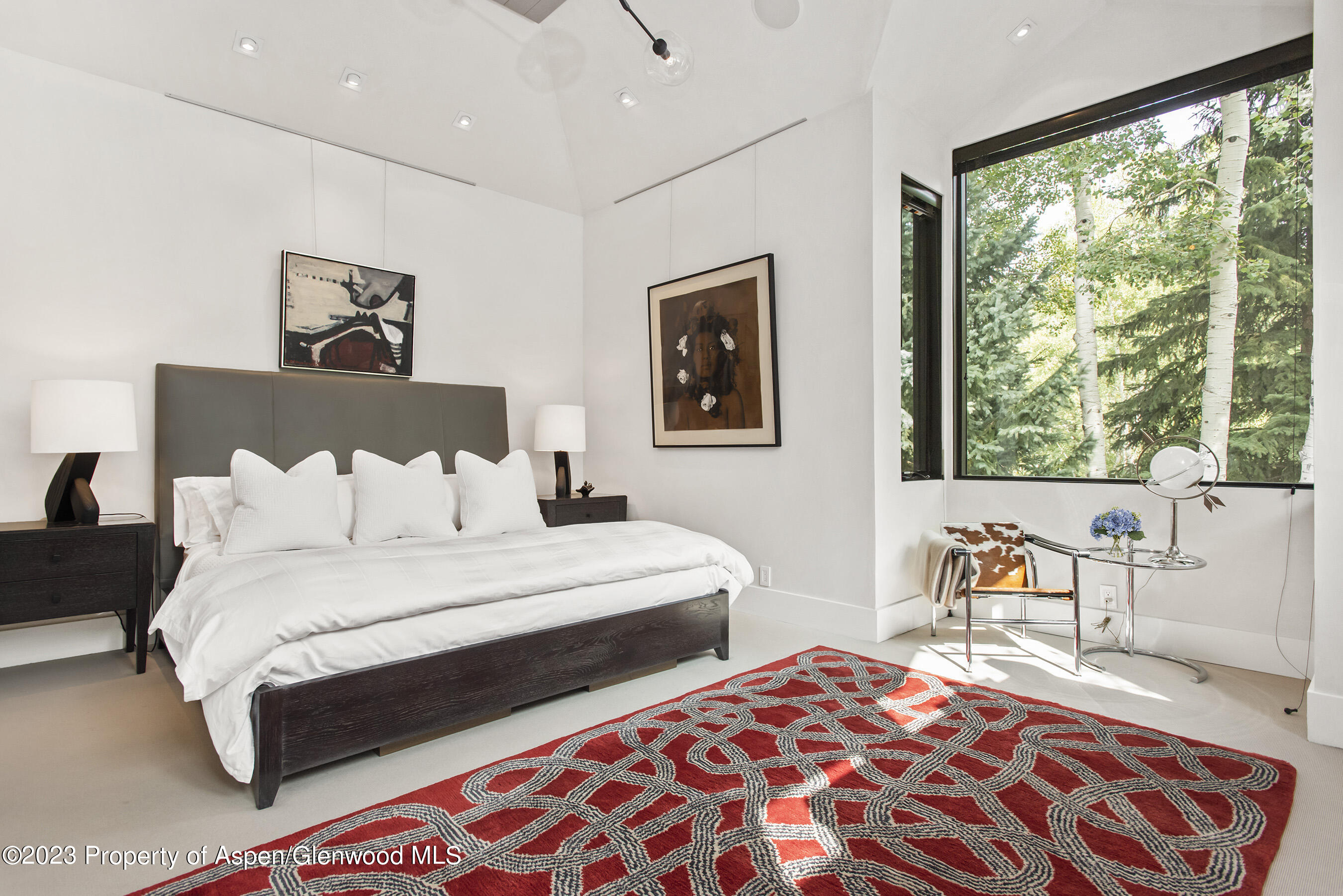 307 N Sixth Street Aspen CO 81611