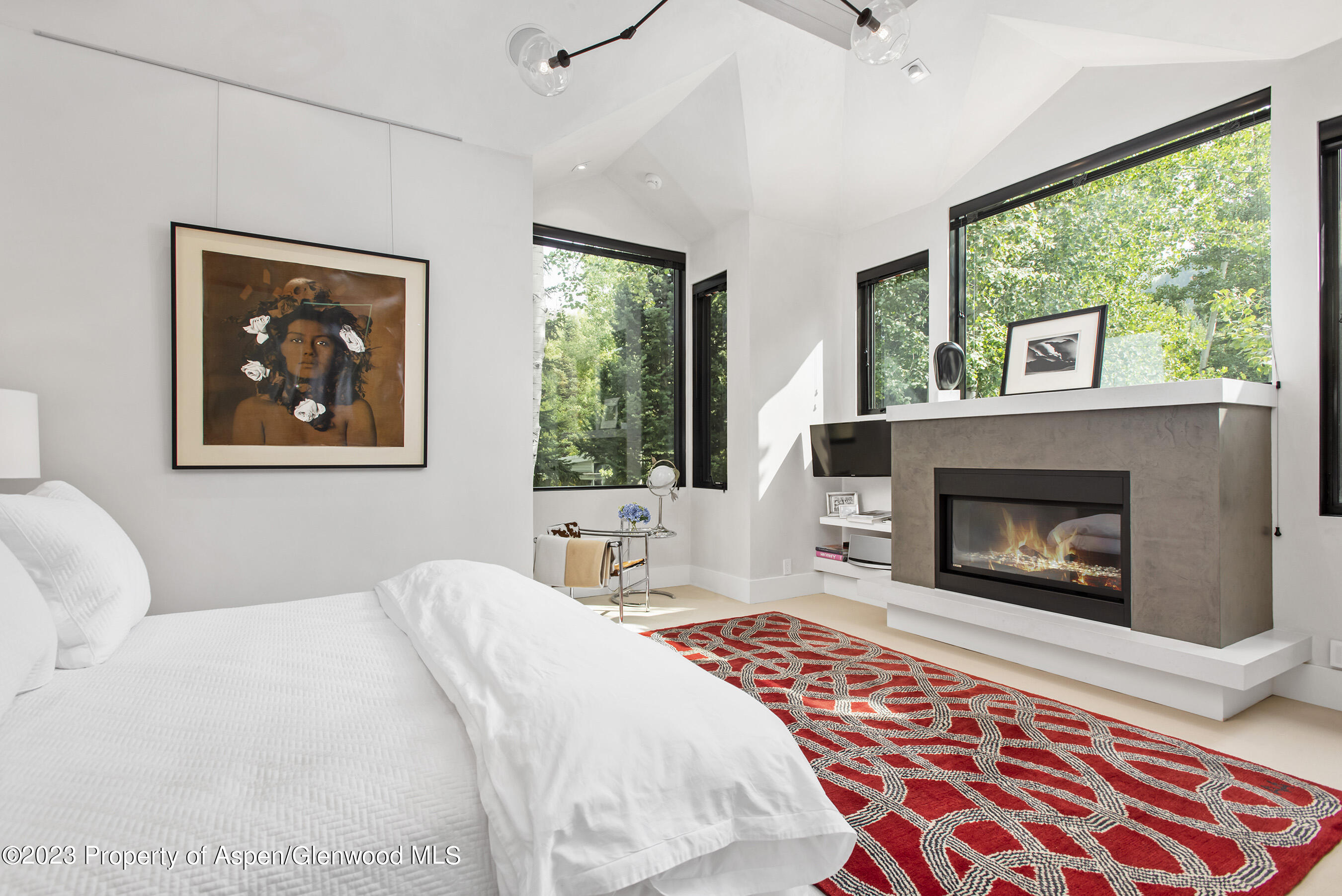 307 N Sixth Street Aspen CO 81611