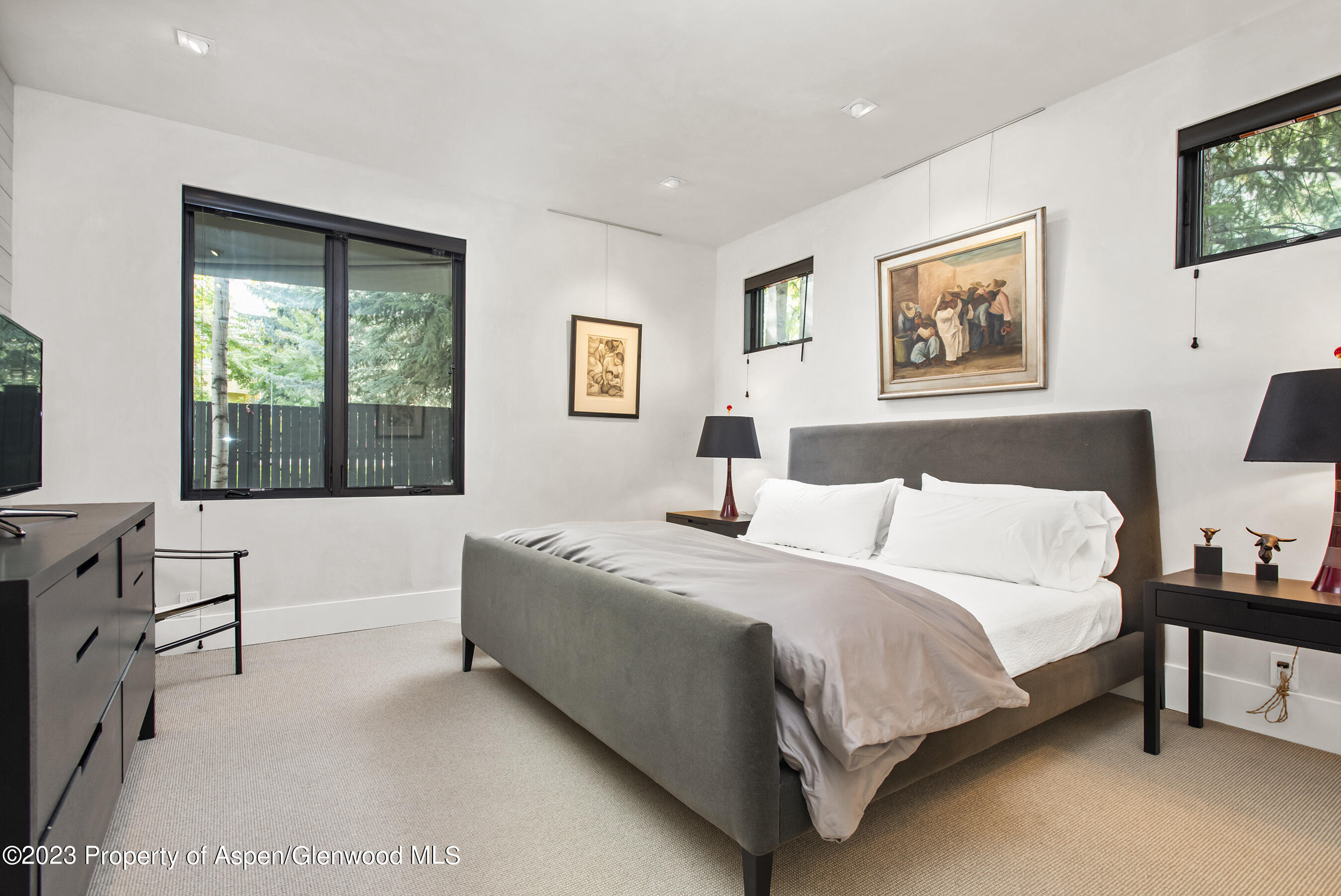 307 N Sixth Street Aspen CO 81611