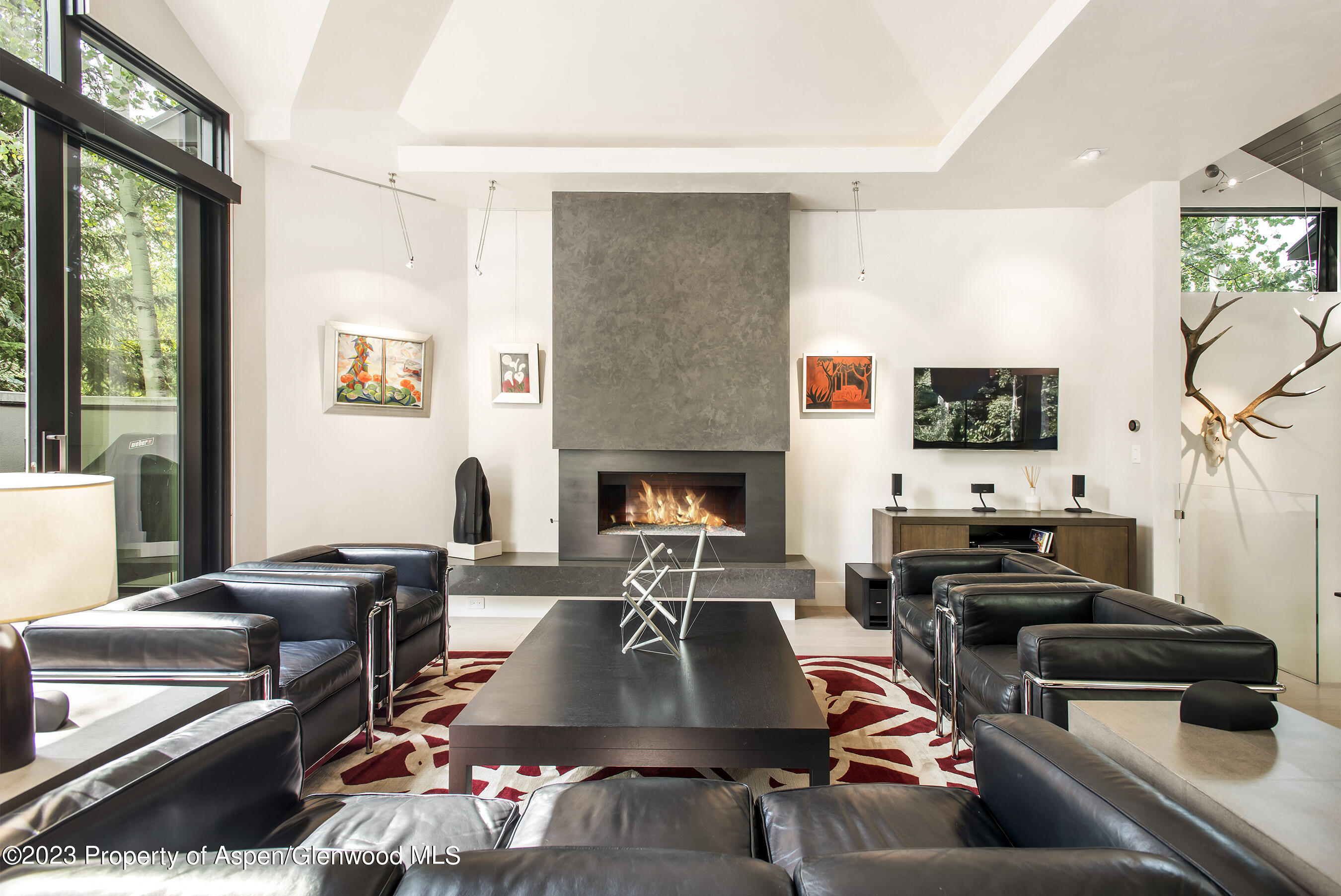 307 N Sixth Street Aspen CO 81611